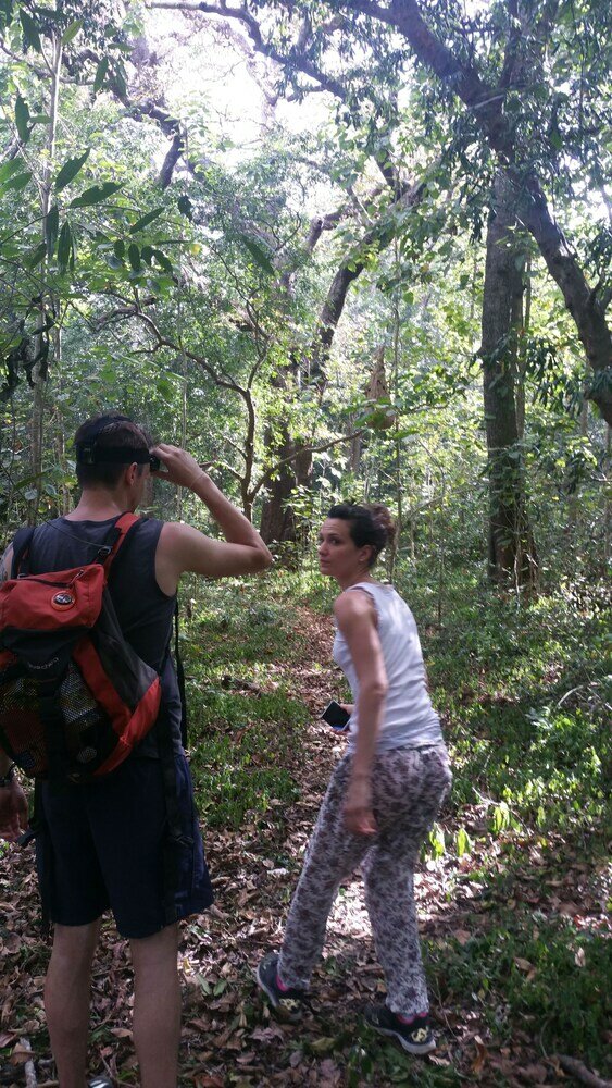 Фото Yala Big Game Drive with Heina Eco Team