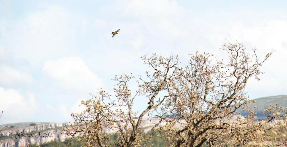 Фото Hostal La Llave