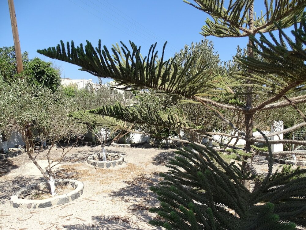 Фото Monolithos Villa