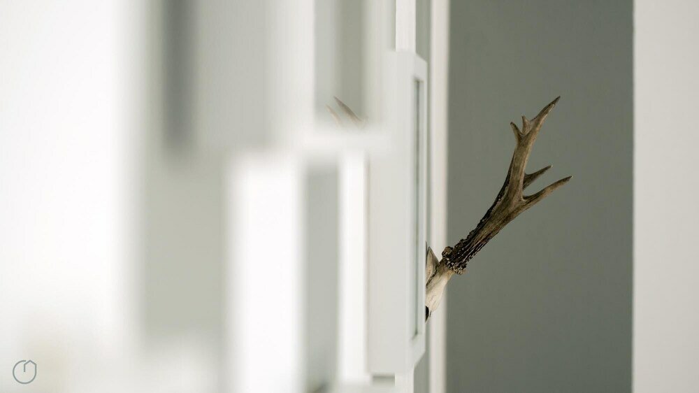 Фото Mi-melz12b3 - Melzo 12 - 3b Sup Righe