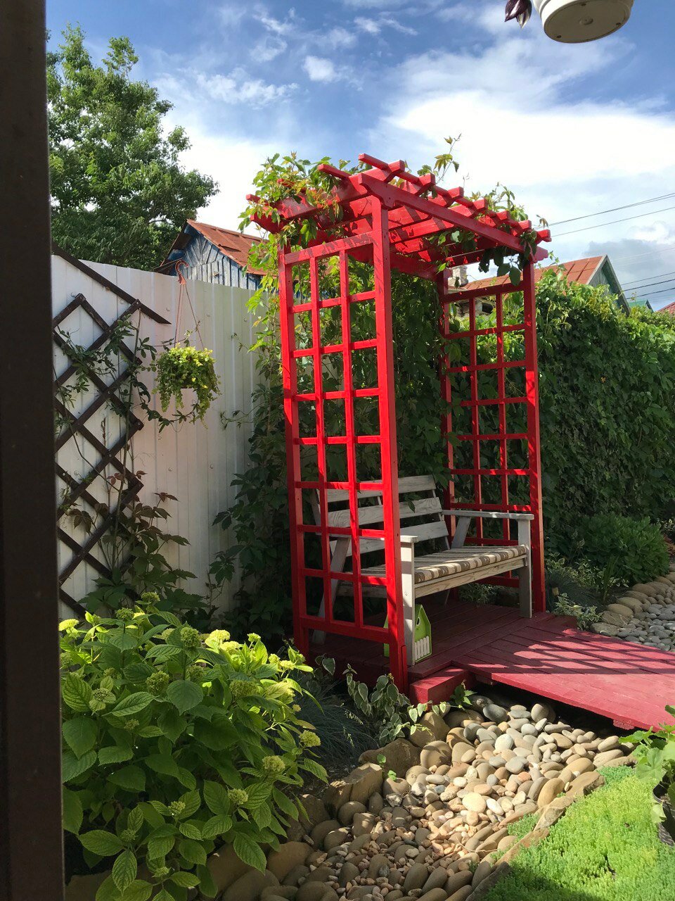 Фото Кофейное дерево