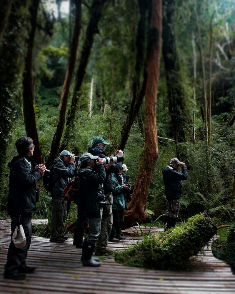 Фото Hotel Parque Tepuhueico