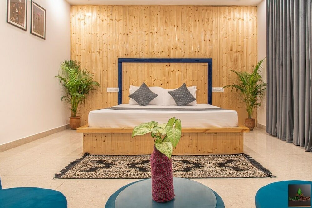 Фото The Cloud Berry