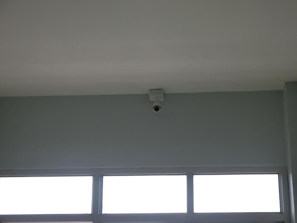 Фото Patone Hostel