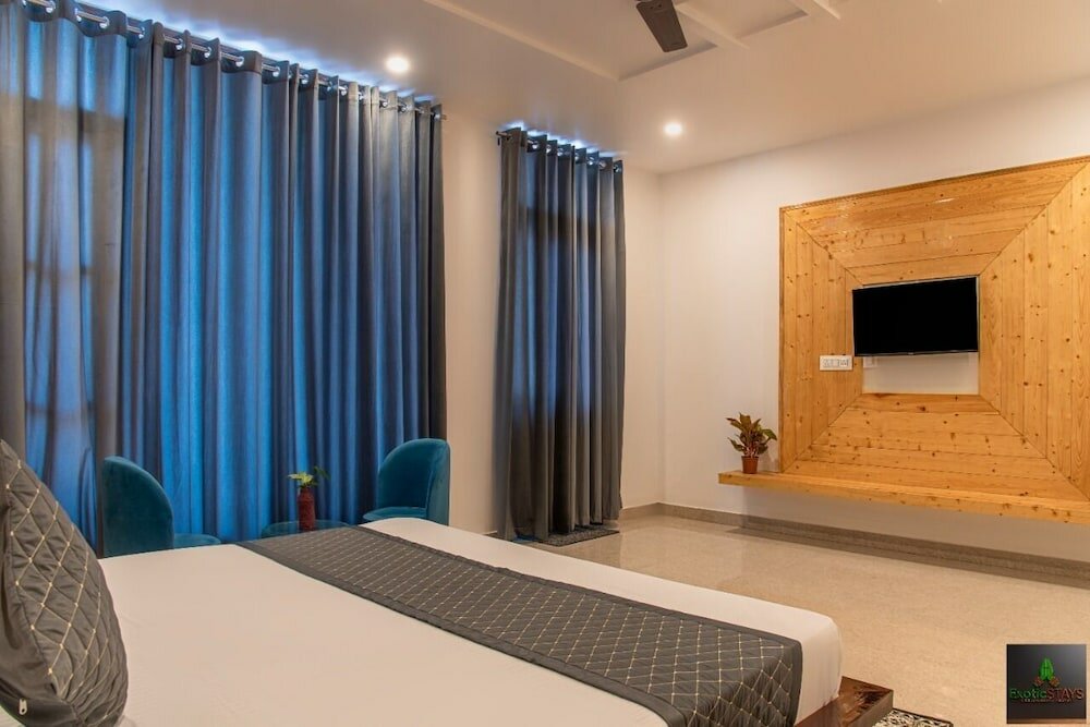 Фото The Cloud Berry