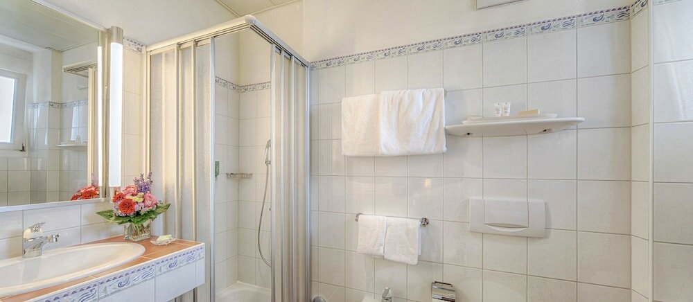 Фото E-Rooms Minusio