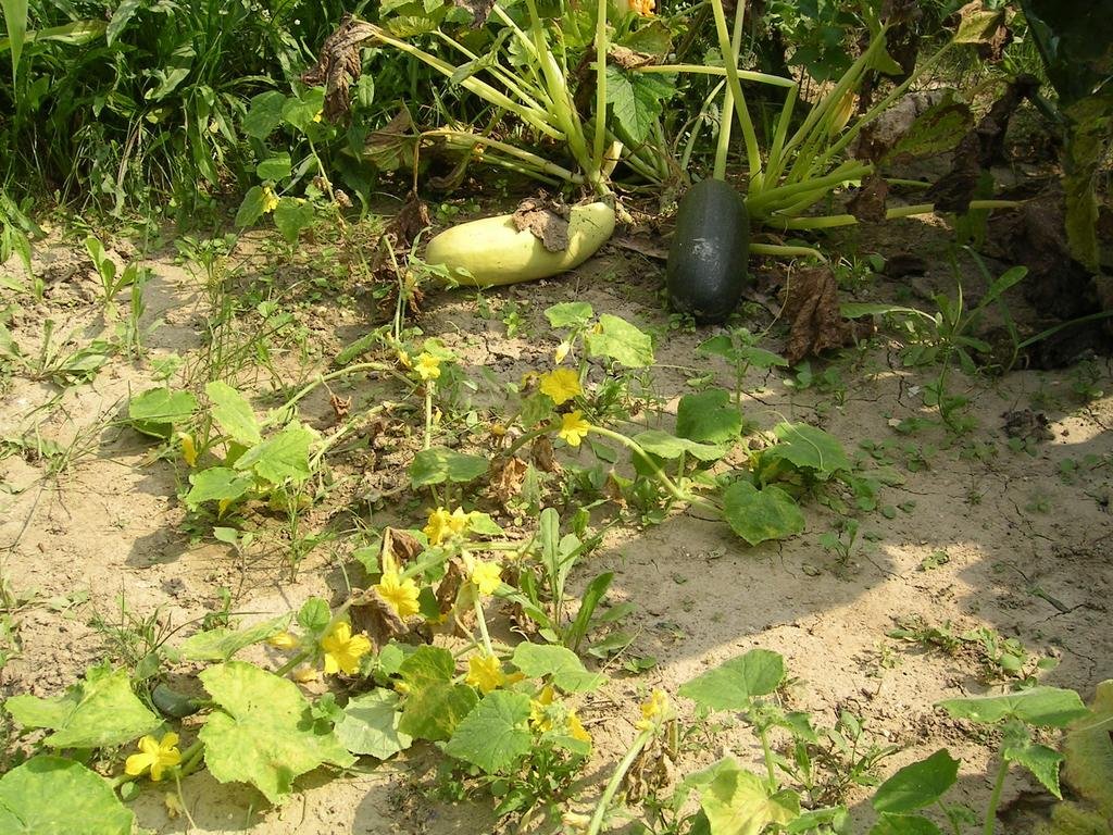 Фото Farmotel Stefania