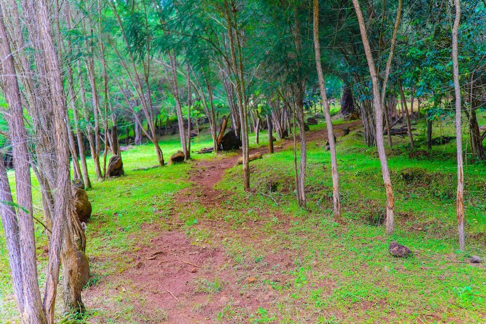 Фото Lake Olbolosat Resort Park Lodge