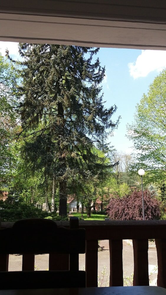 Фото Hotel Vila Olga