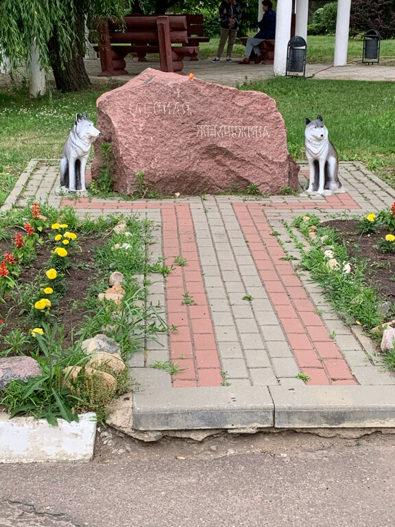 Фото Лесная жемчужина