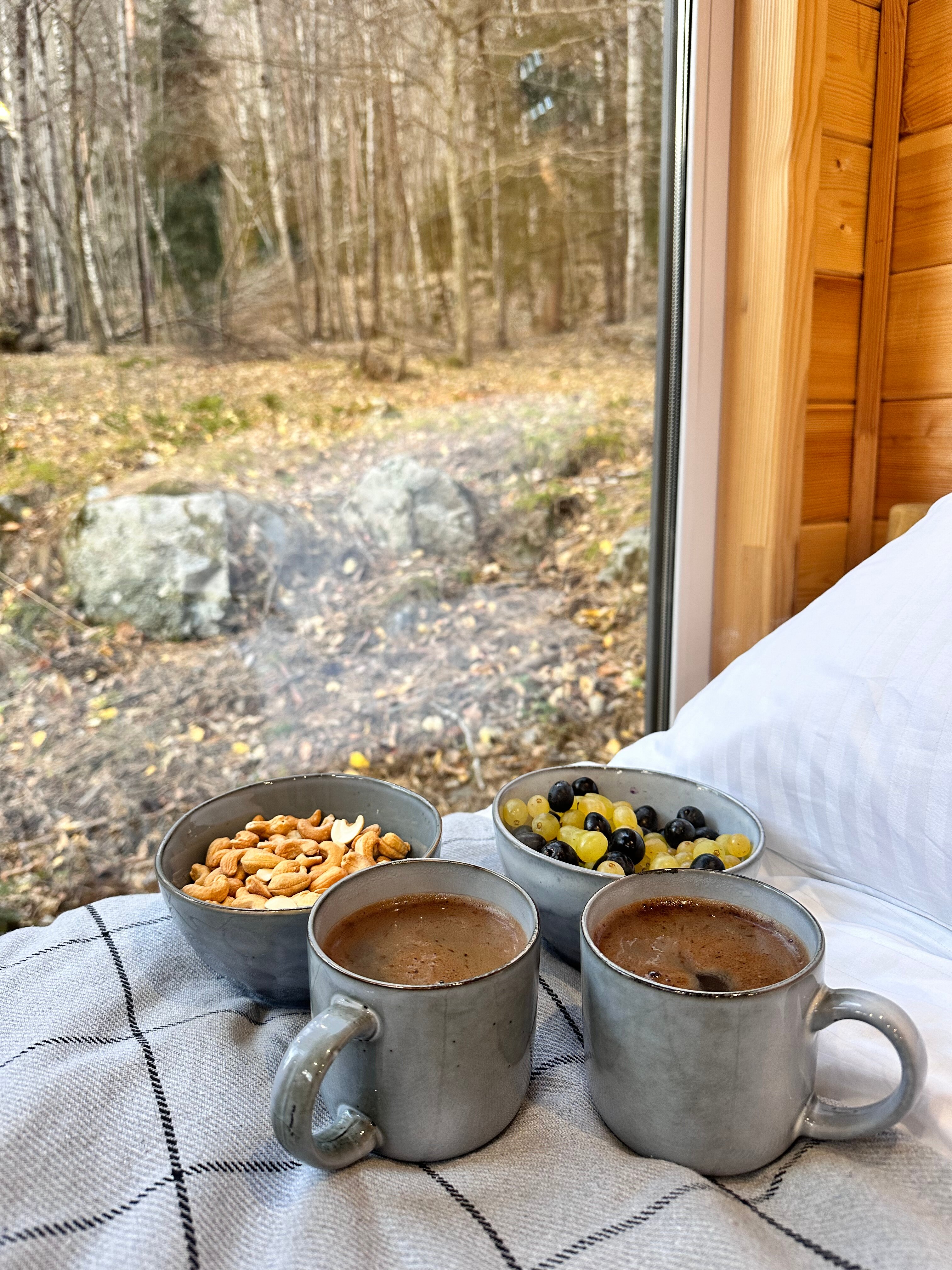 Фото Шелест