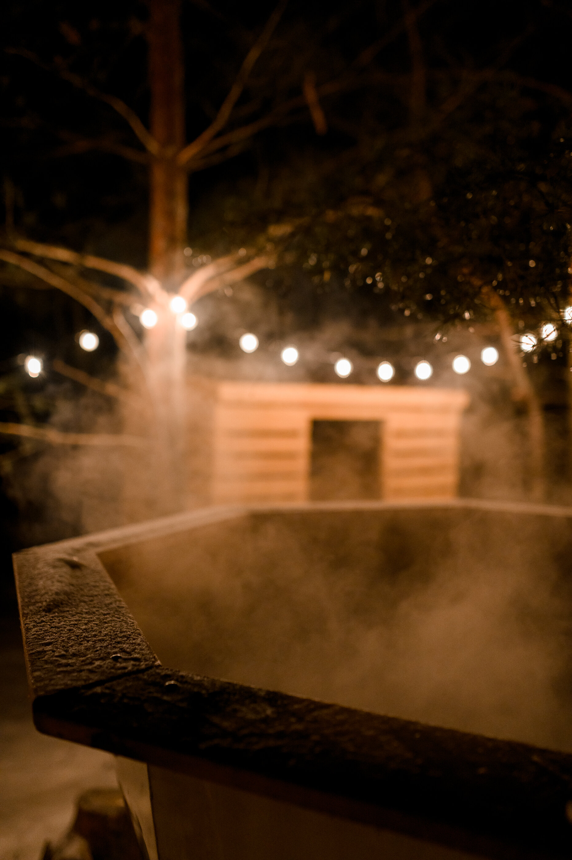 Фото Место под соснами