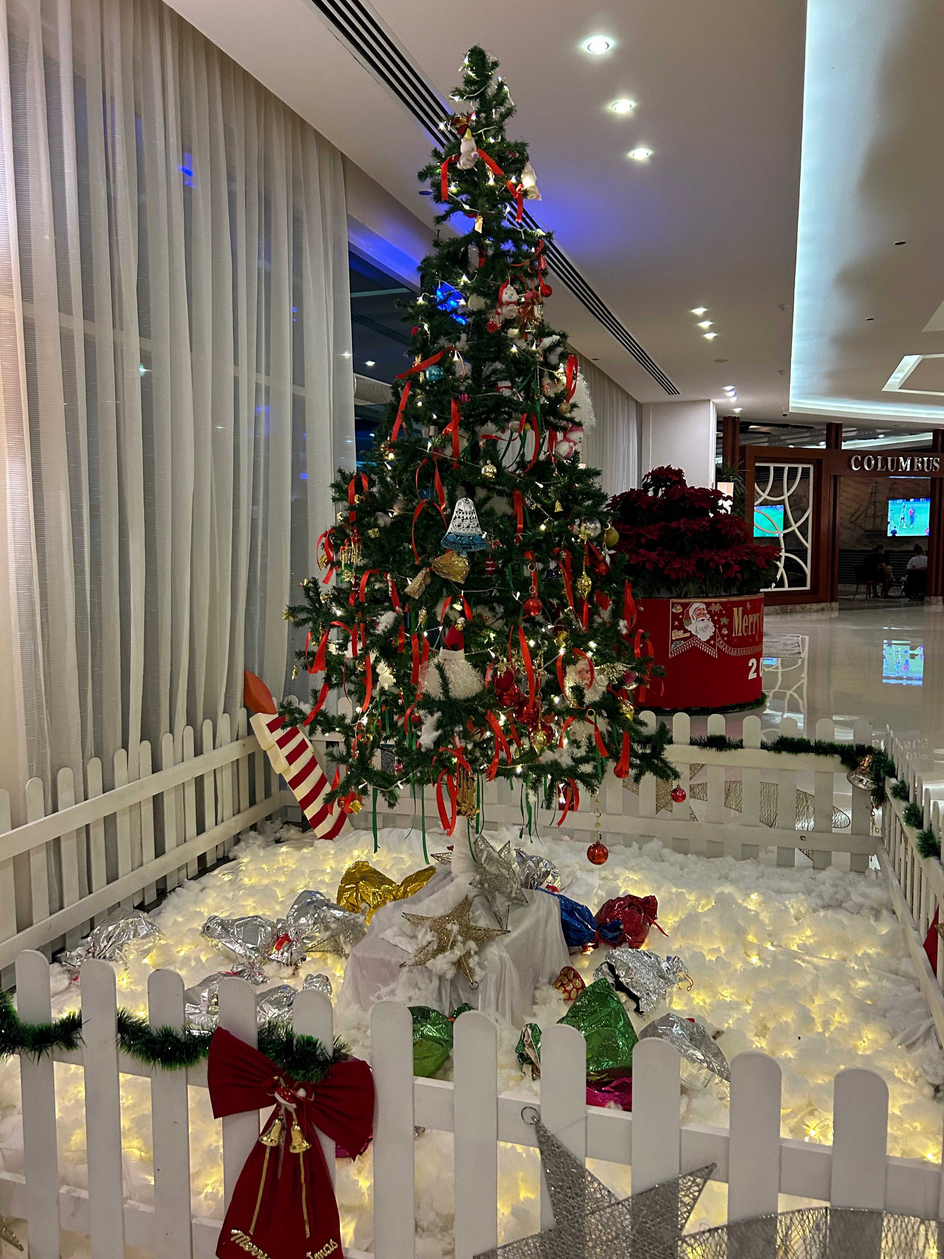 Фото Pickalbatros Royal Moderna Resort