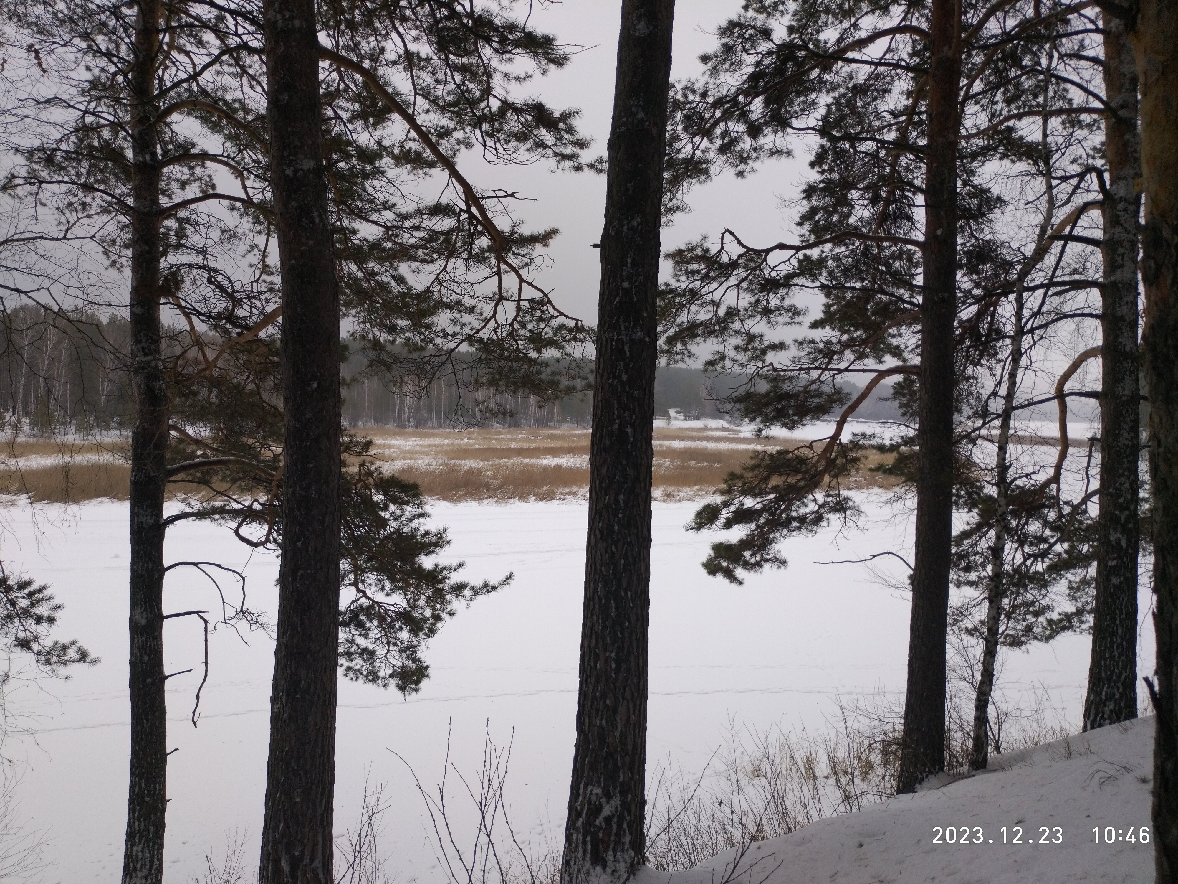 Фото Лунёвка