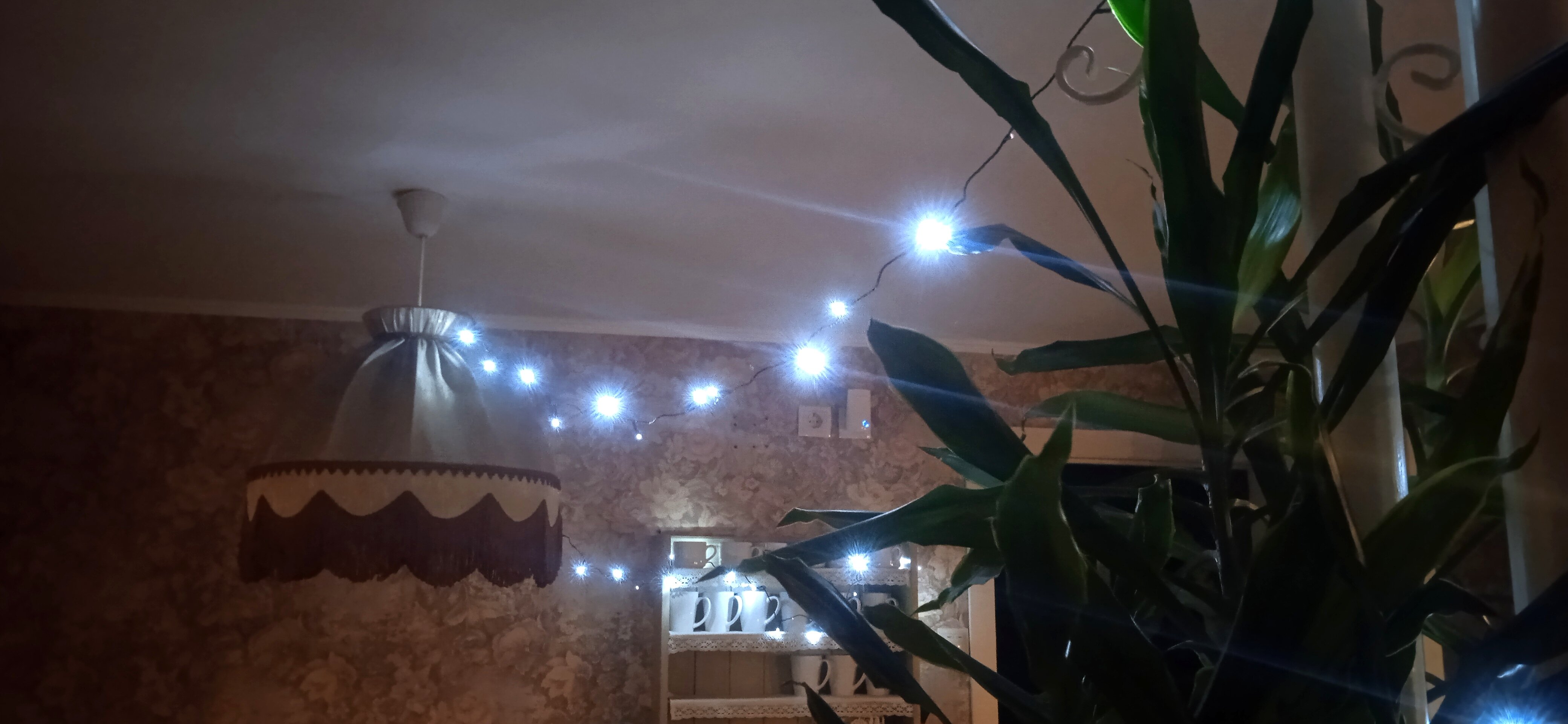 Фото Helen's Home