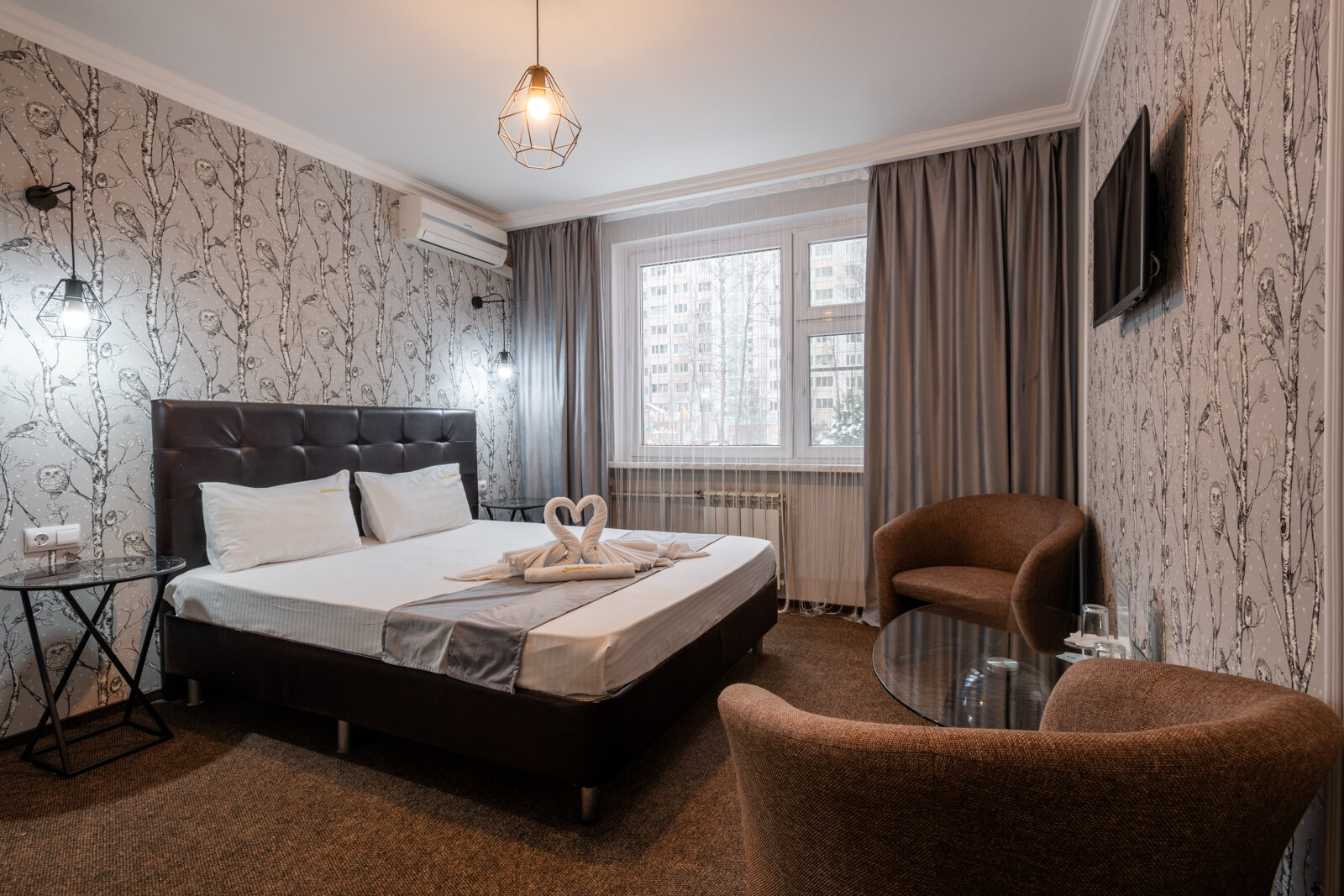 Фото Сова на Планерной