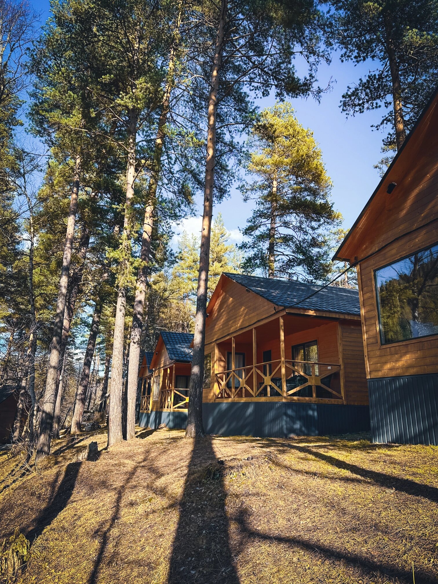 Фото Шале Хвоя