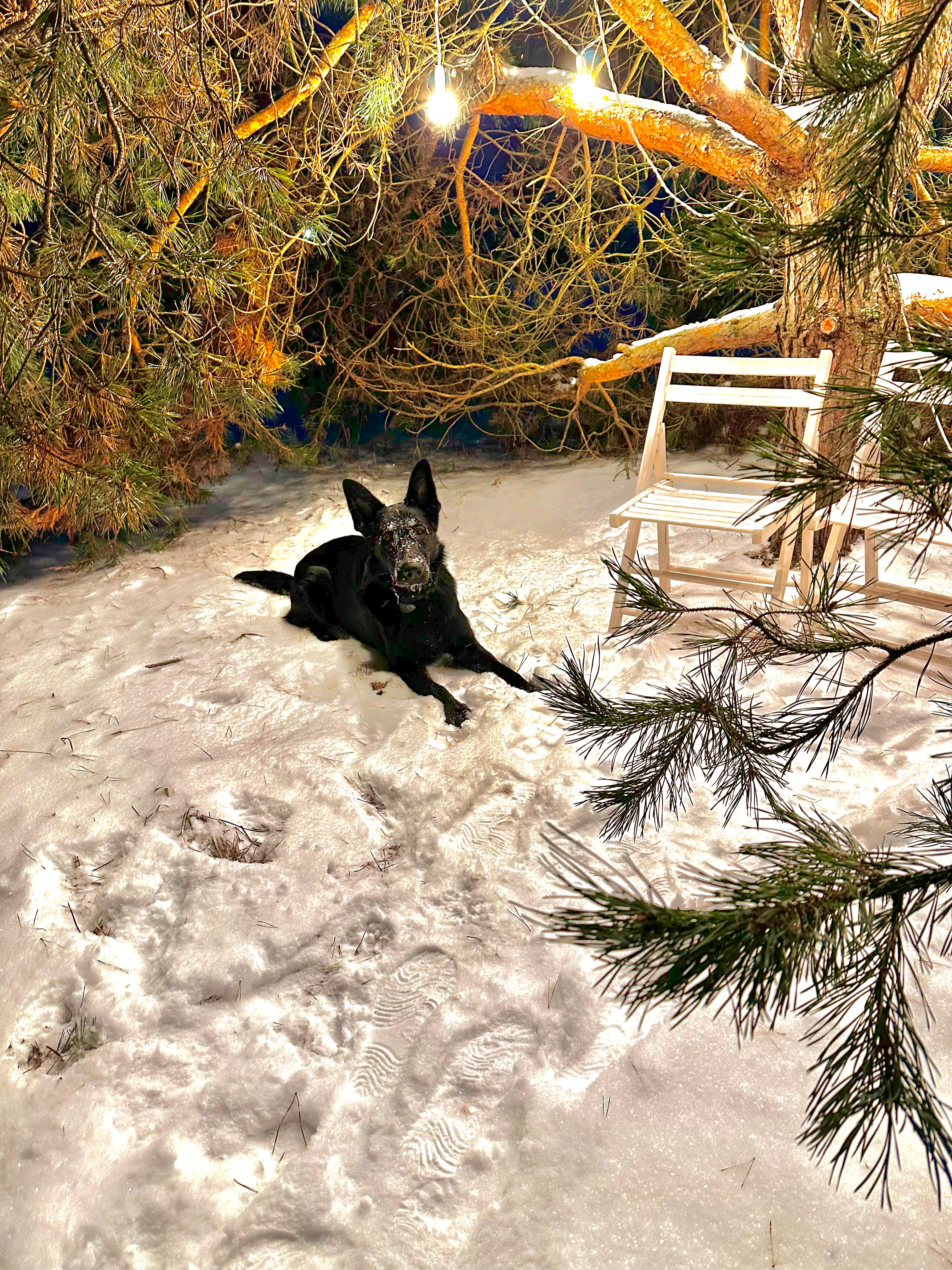 Фото Академия отдыха