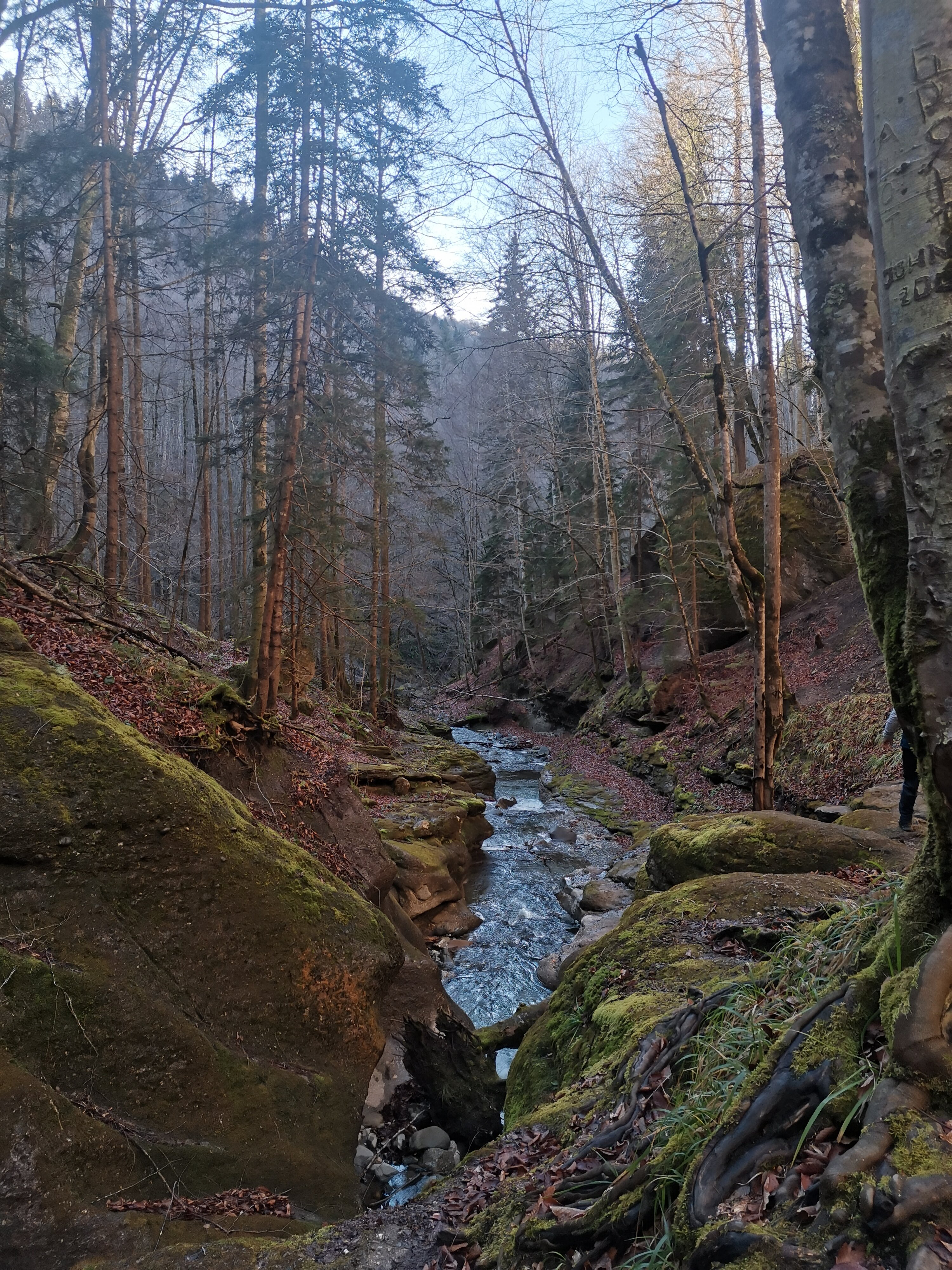 Фото Гостевой Псебай