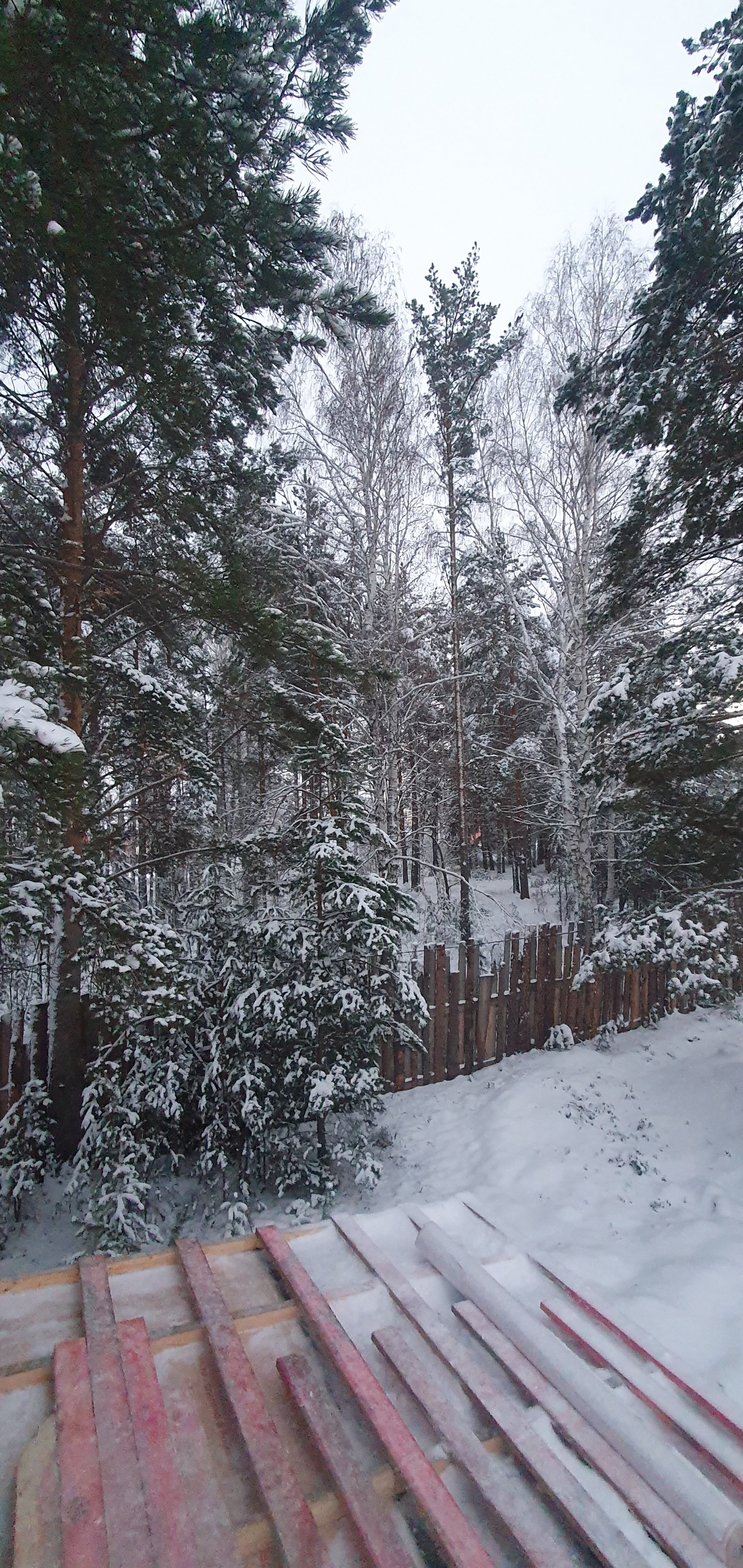 Фото Территория отдыха География