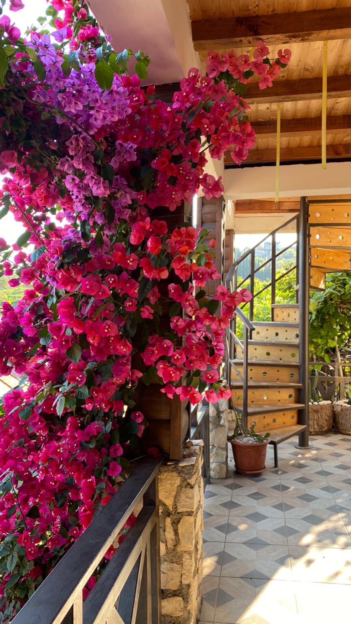 Фото Эль Платано