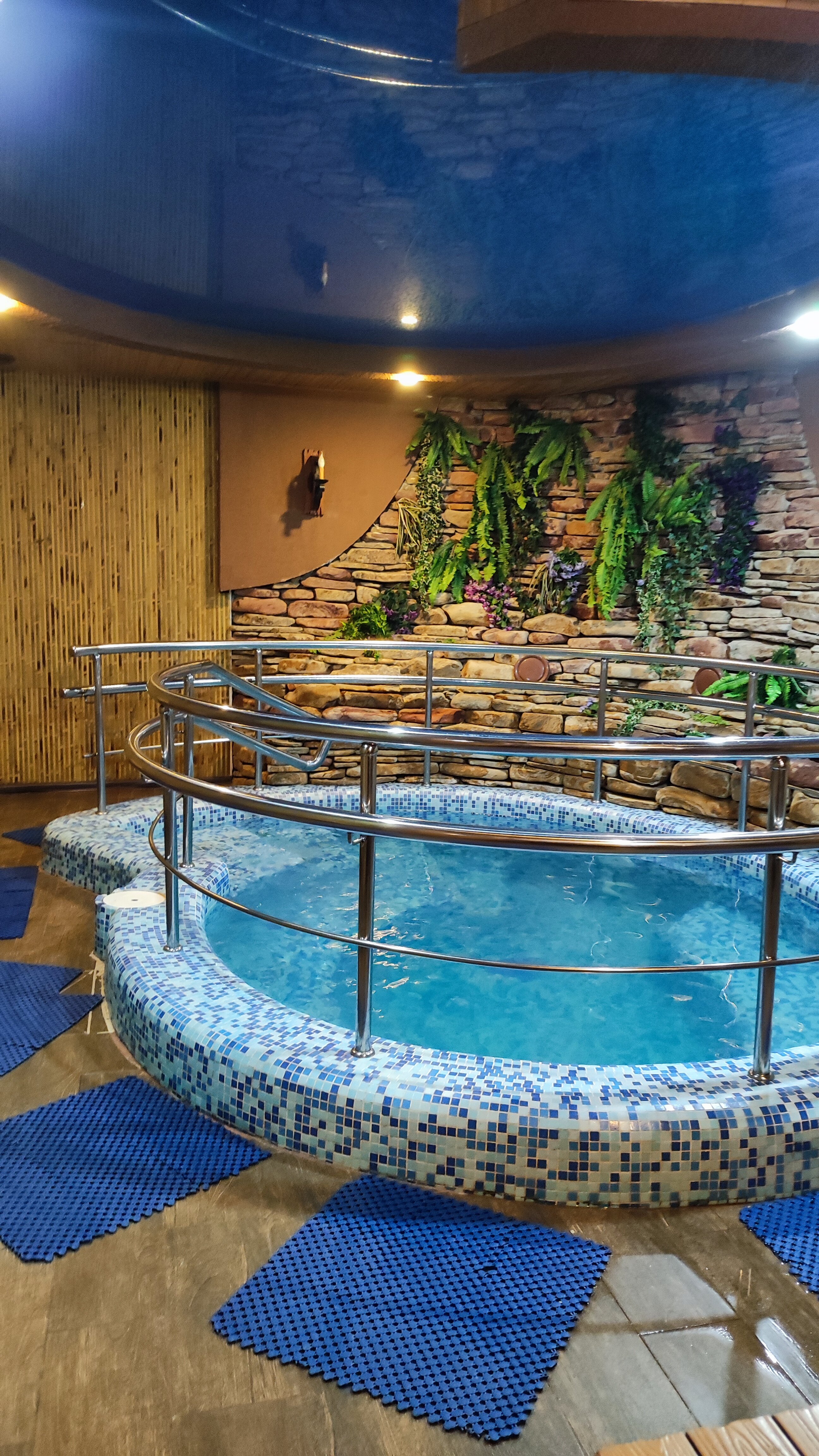 Фото Наутилус