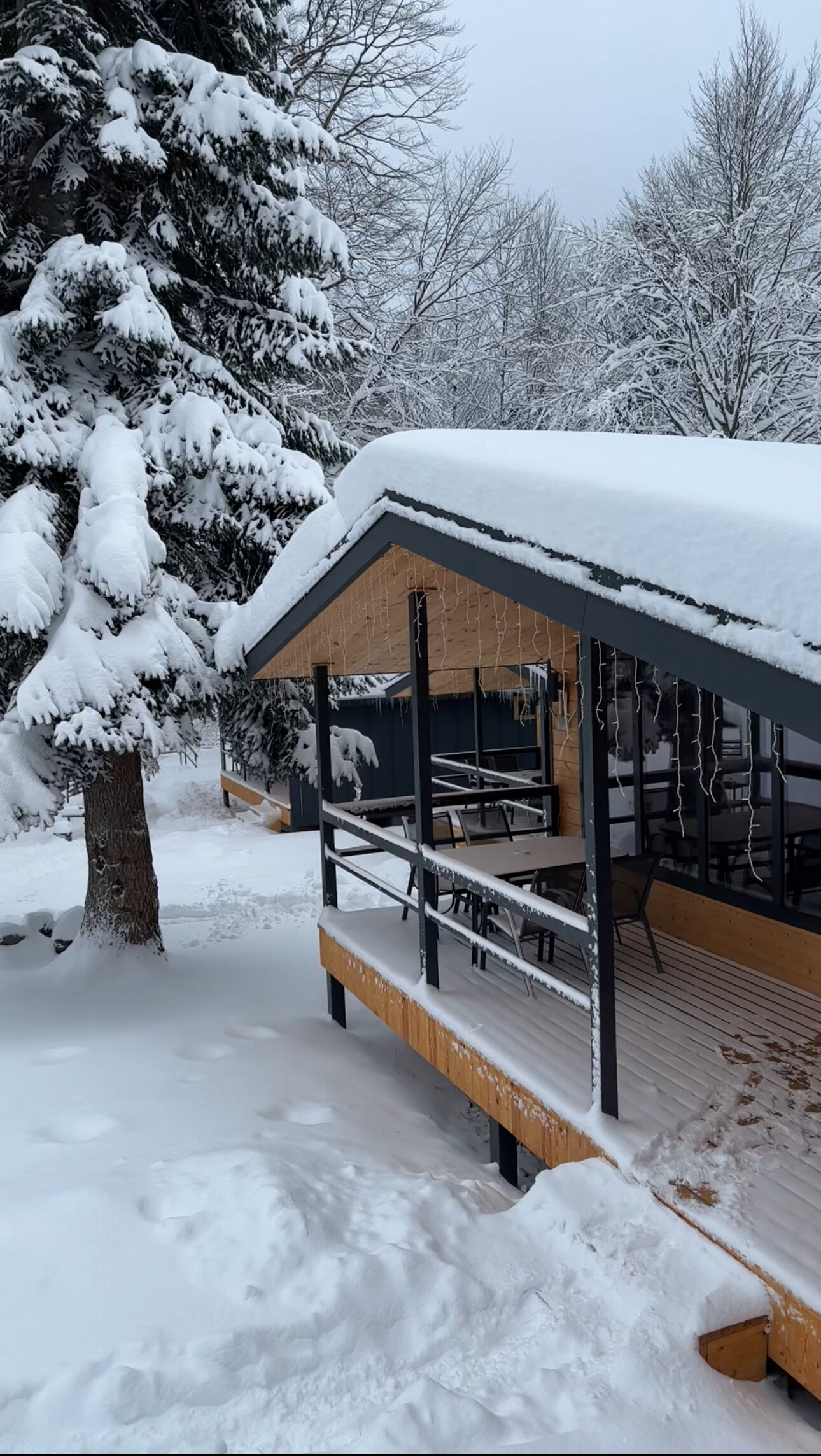 Фото ЗимаЛето