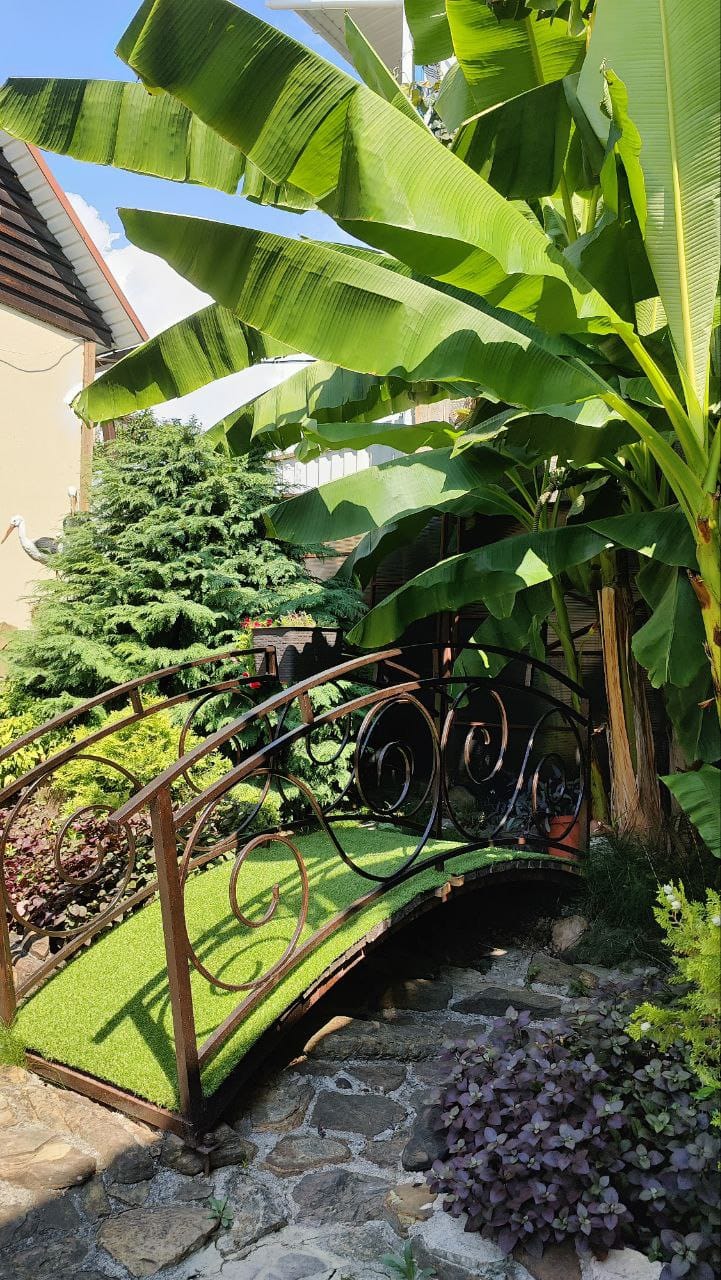 Фото Инфанта