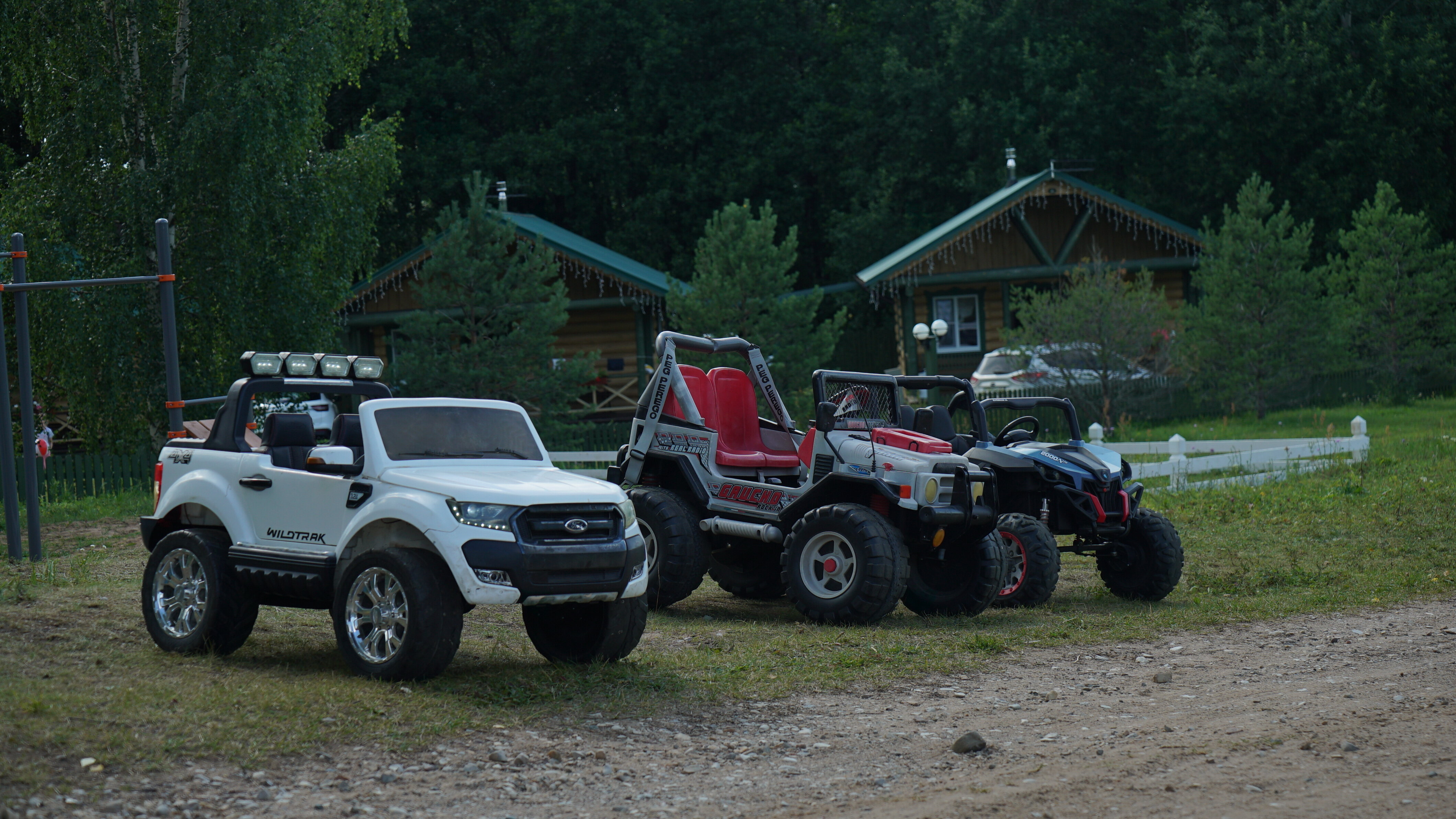 Фото Новый ковчег