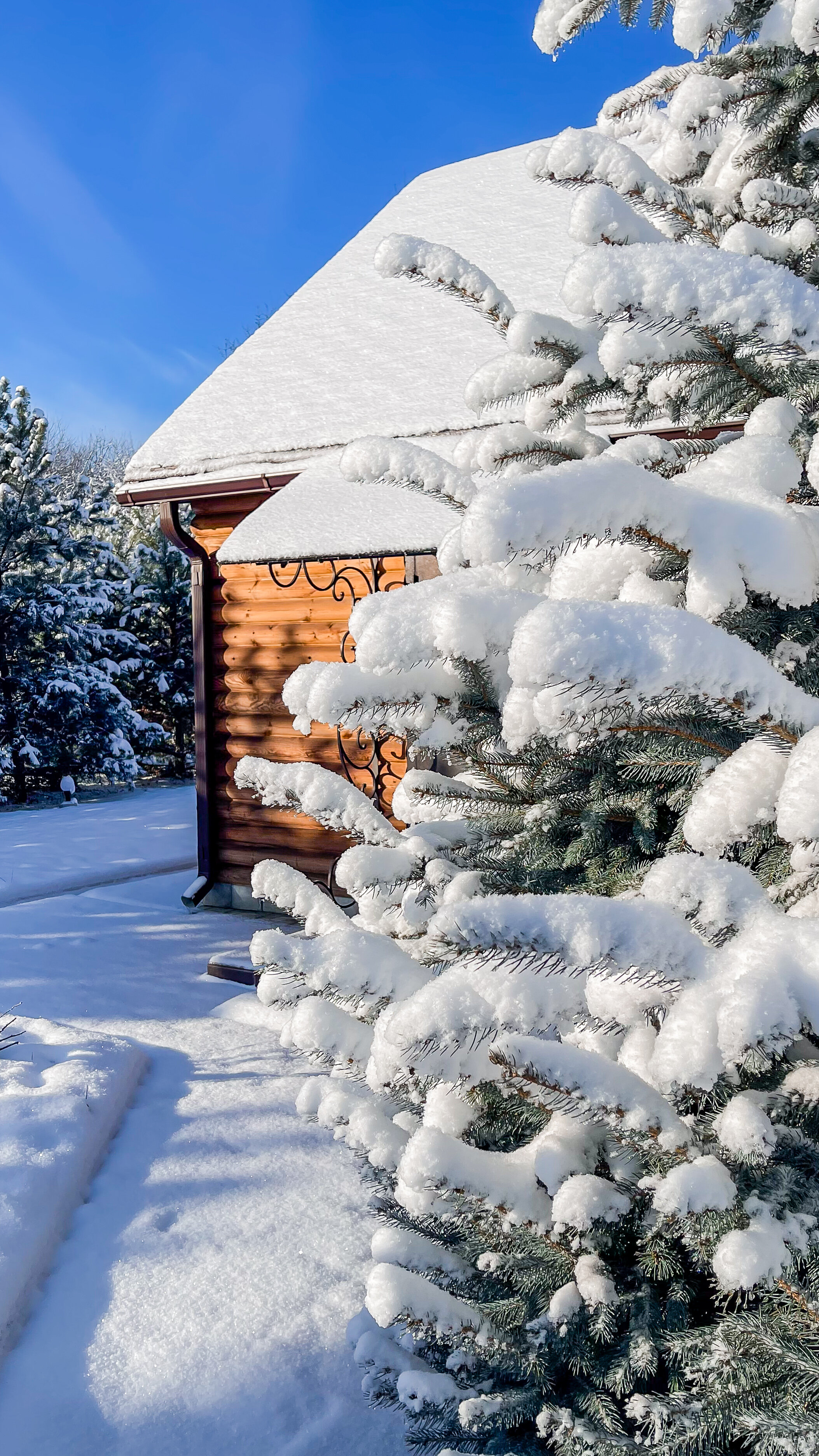 Фото Зеленые холмы