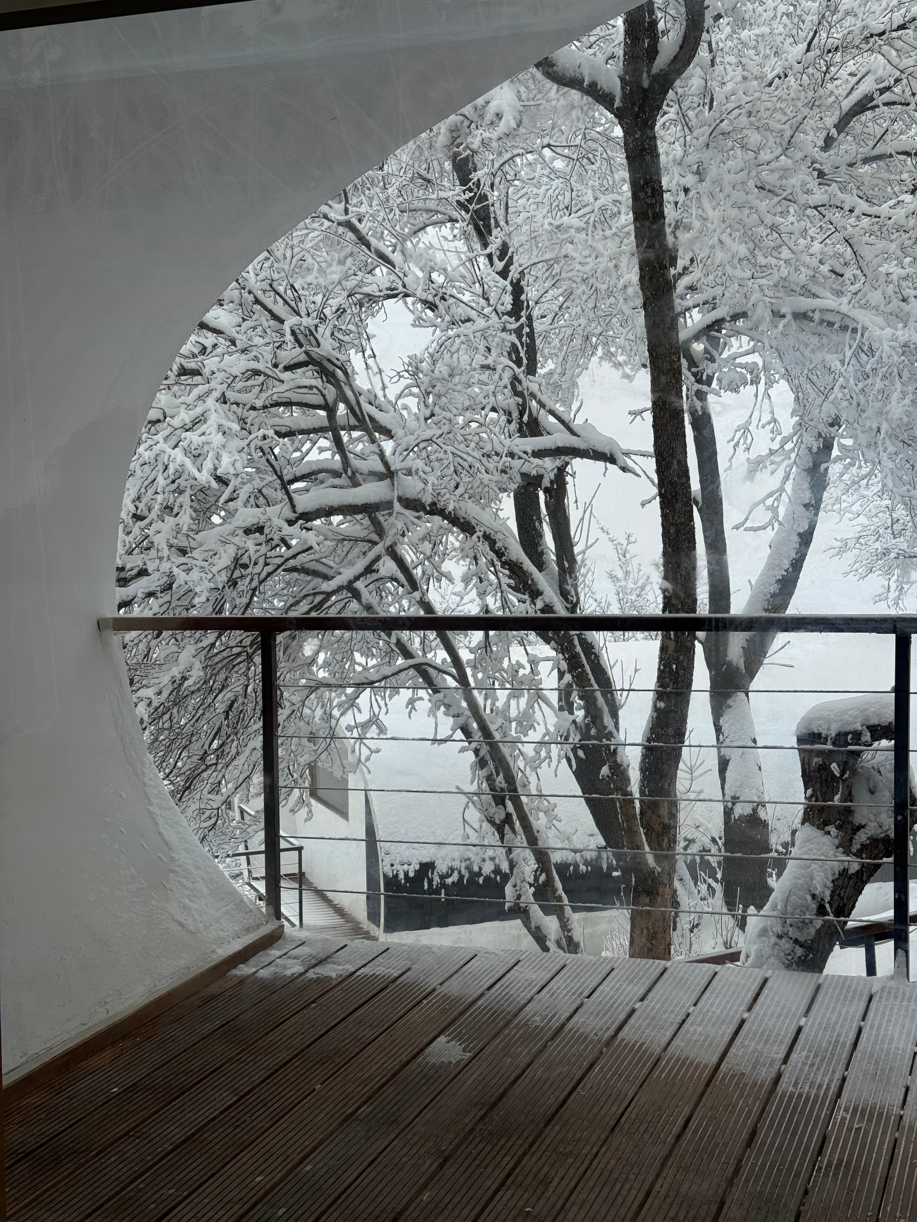 Фото Apple Resort