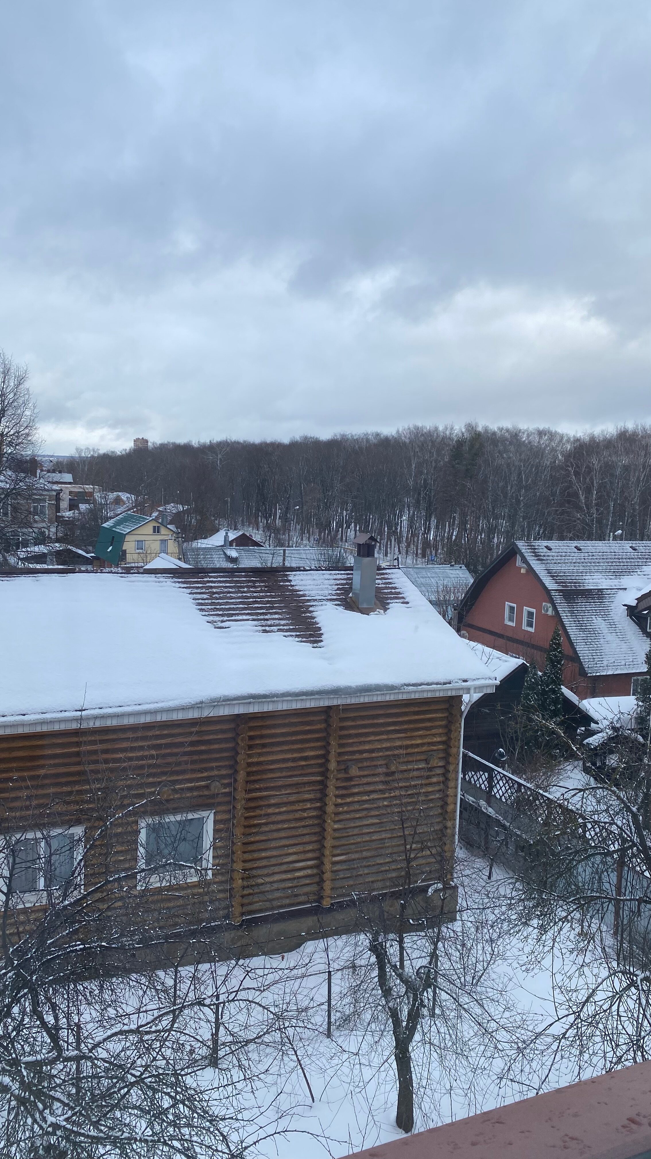 Фото Тульский