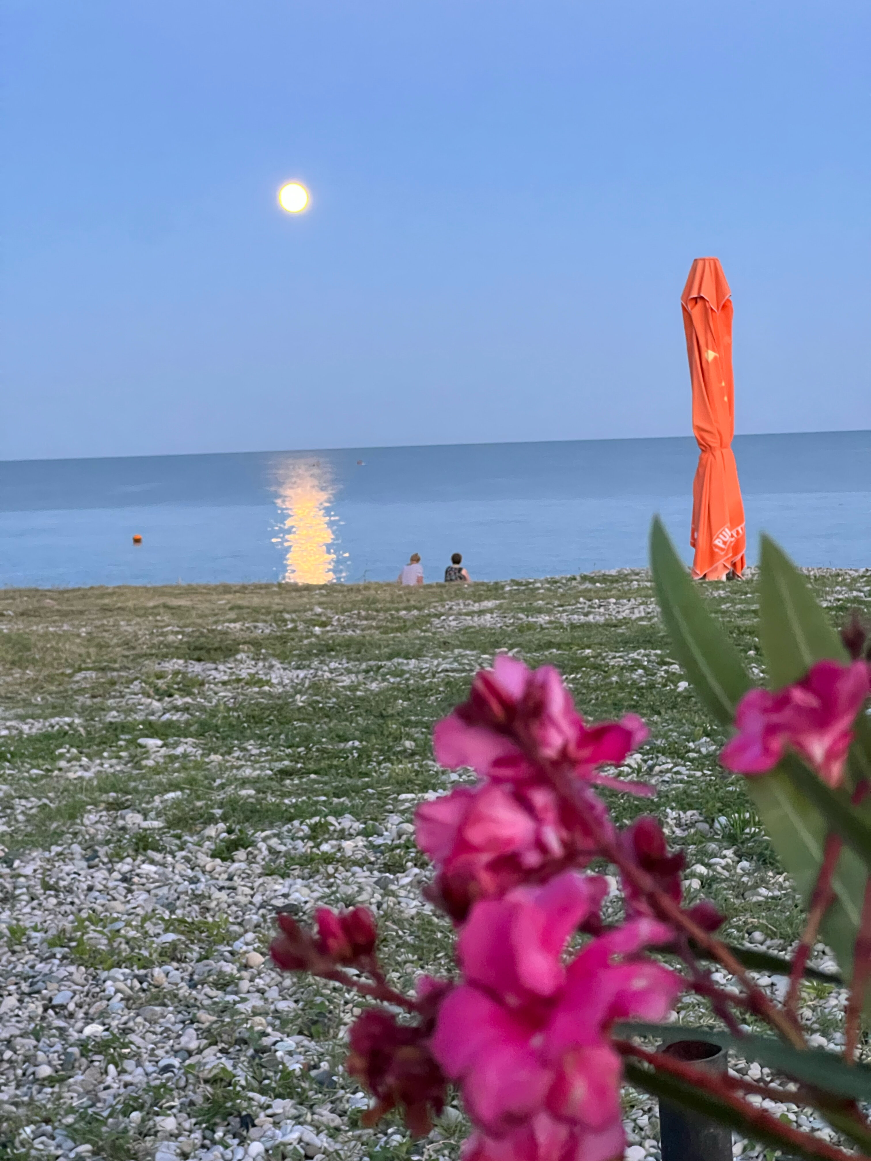 Фото Шезлонг