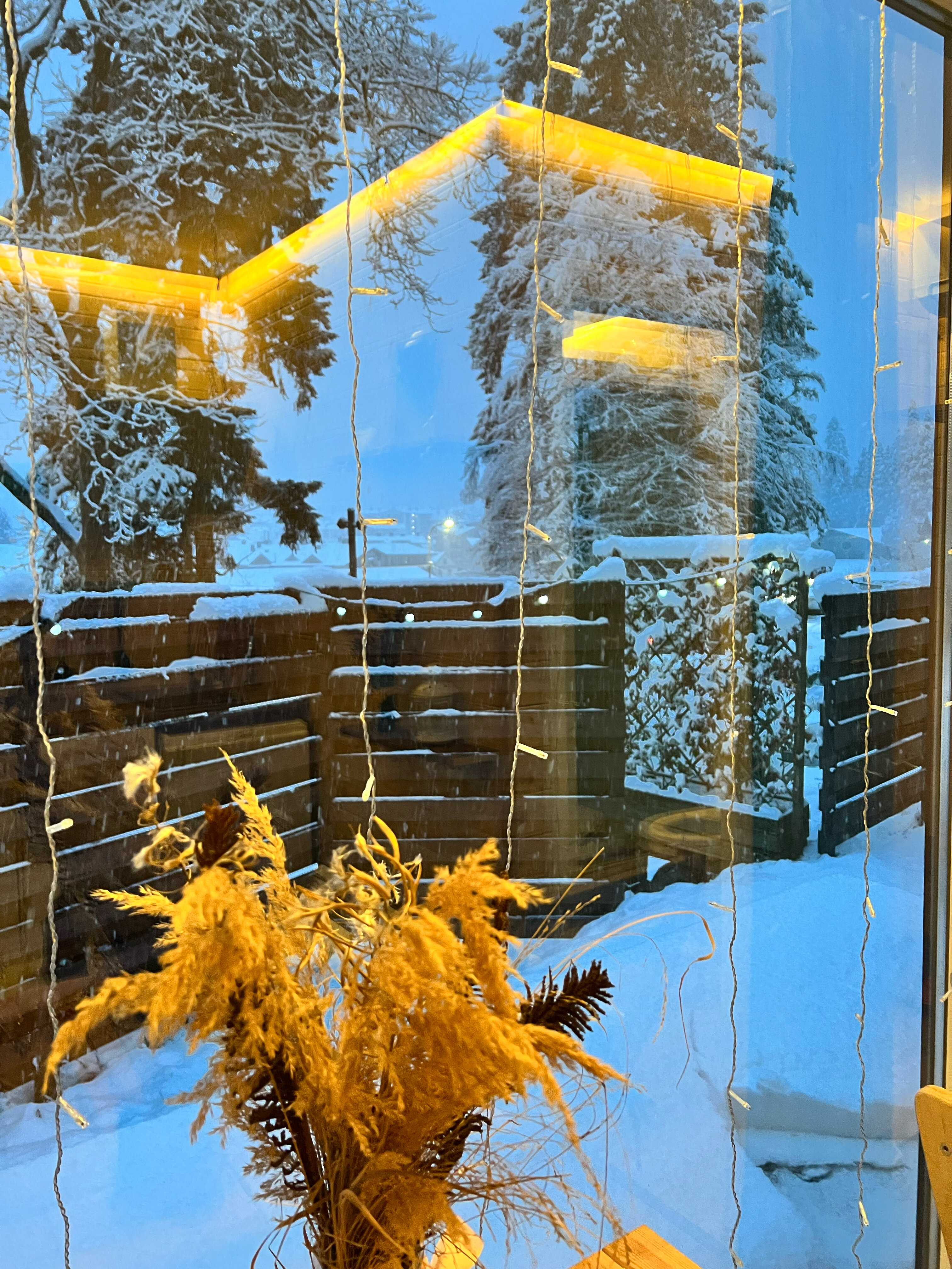 Фото Tinyhouse Polyana