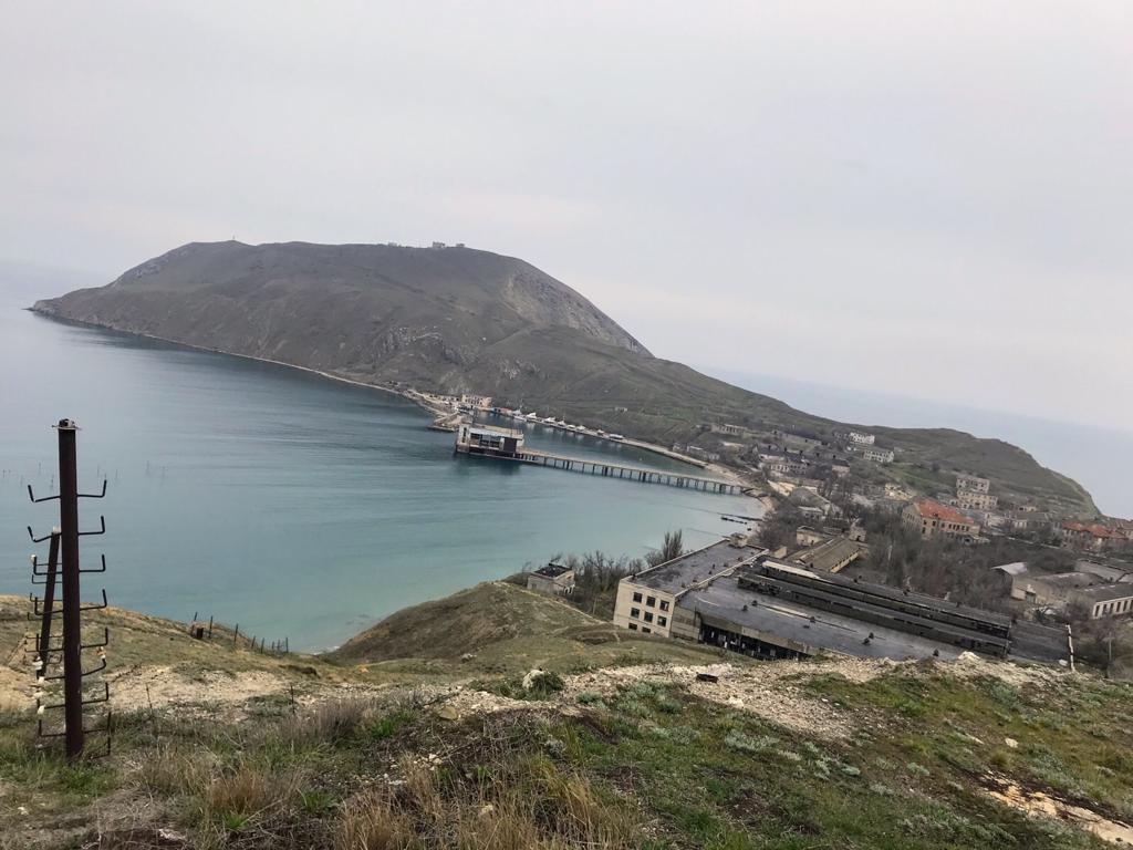 Фото Магнолия