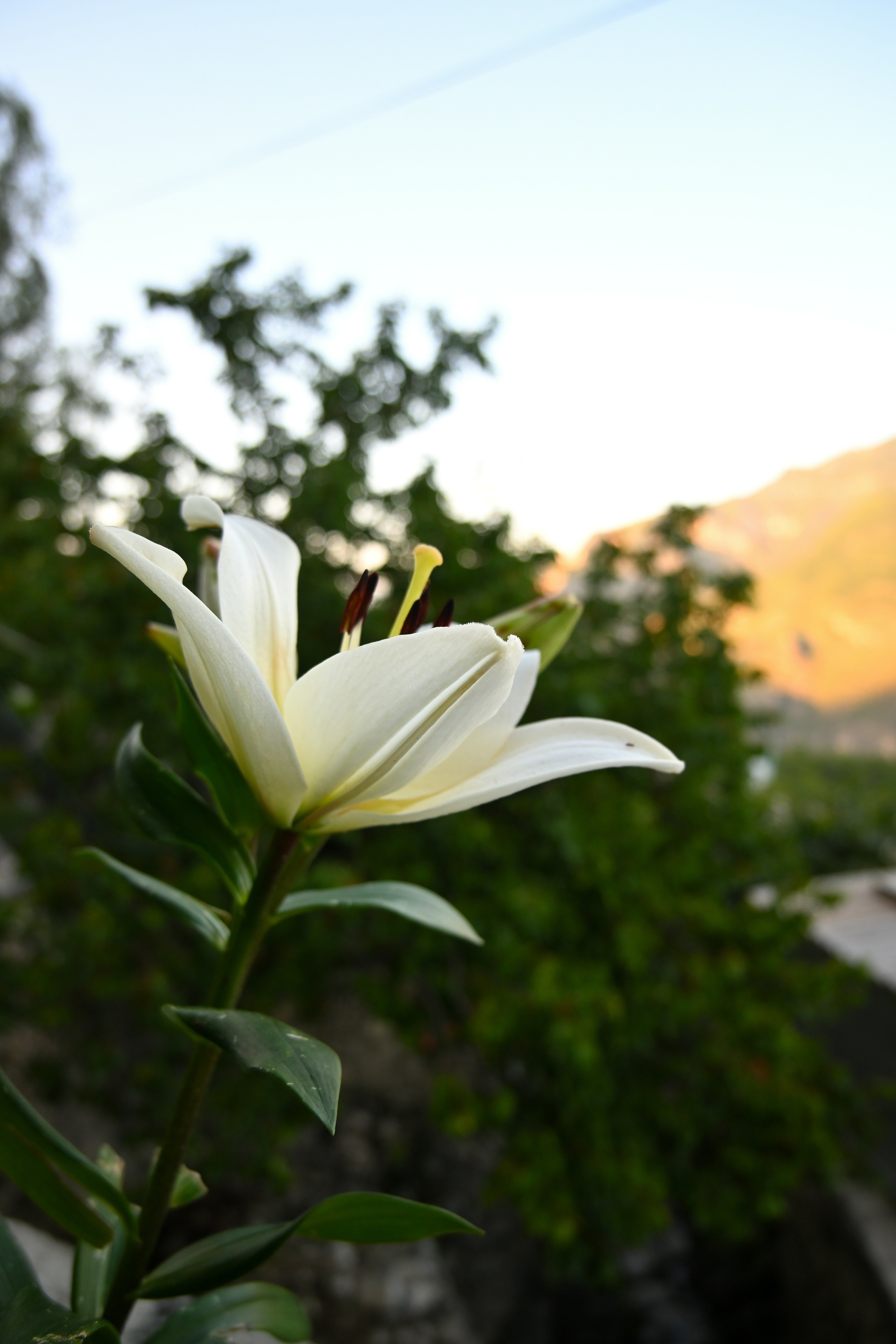 Фото Родное гнездо