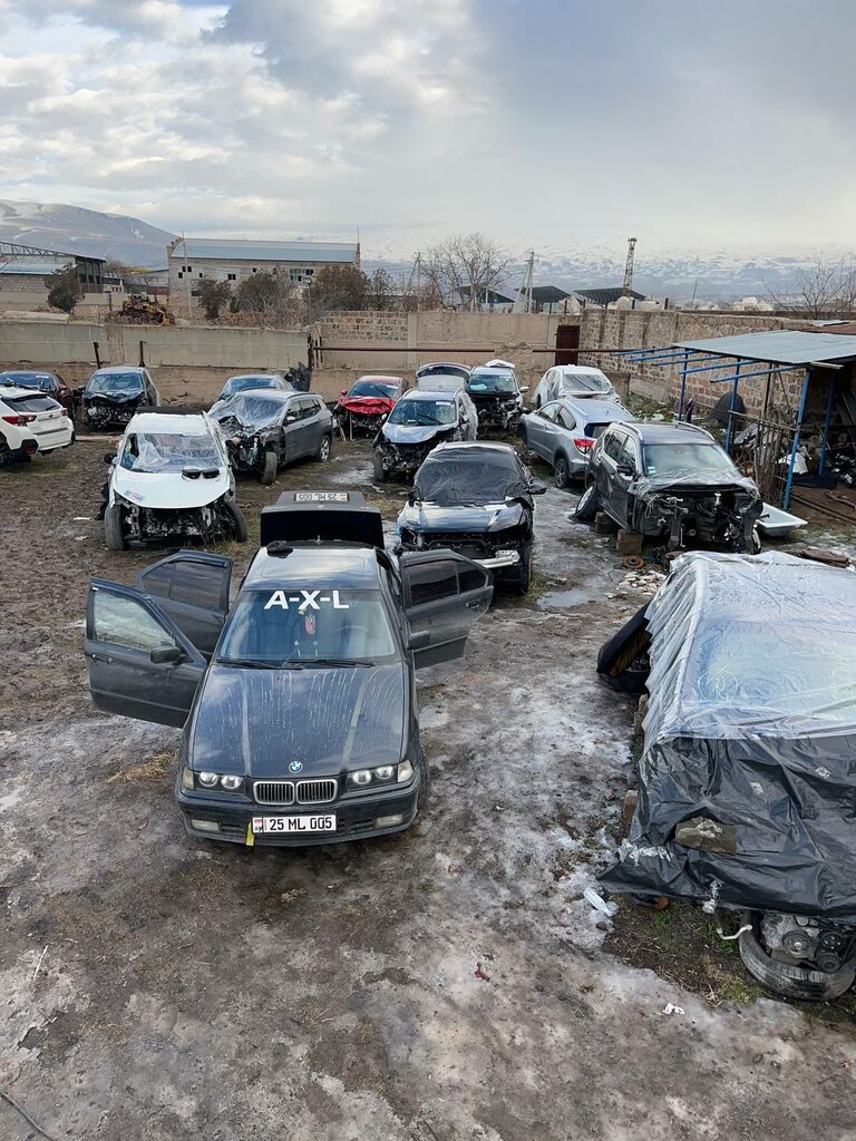 Car disassembly AutoDetal, Kotayk, photo