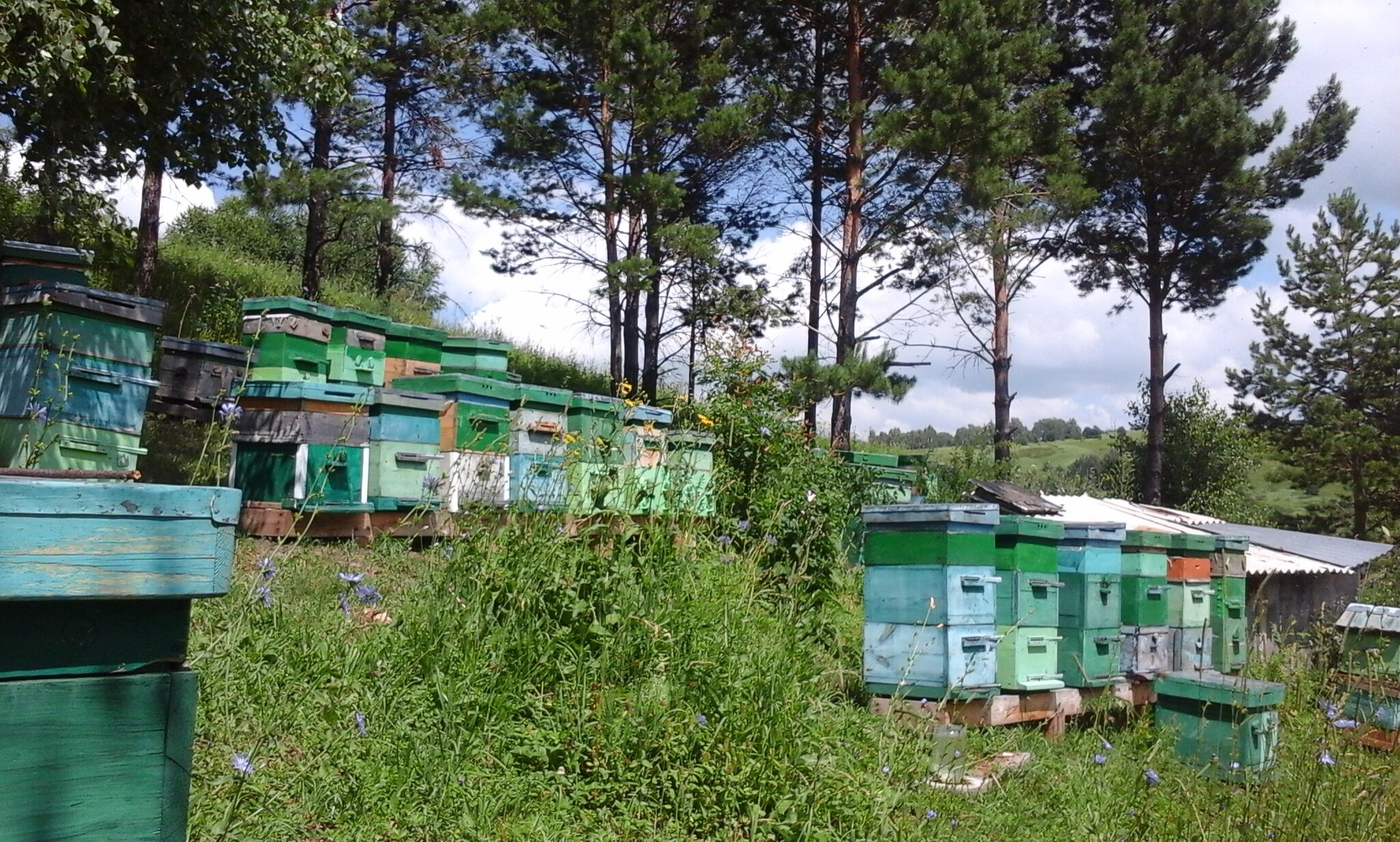 Фото Тихий Лог