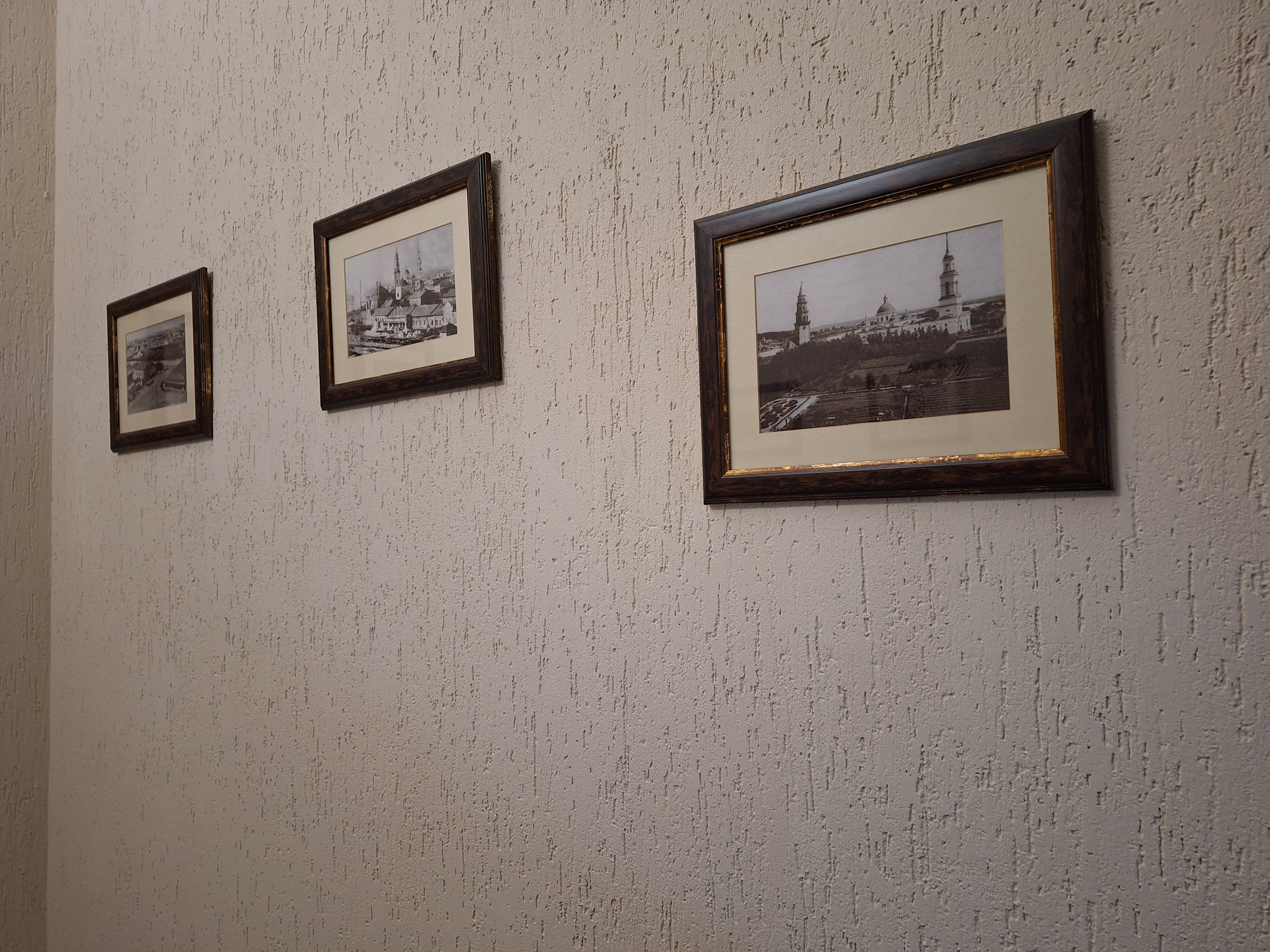 Фото Старый соболь