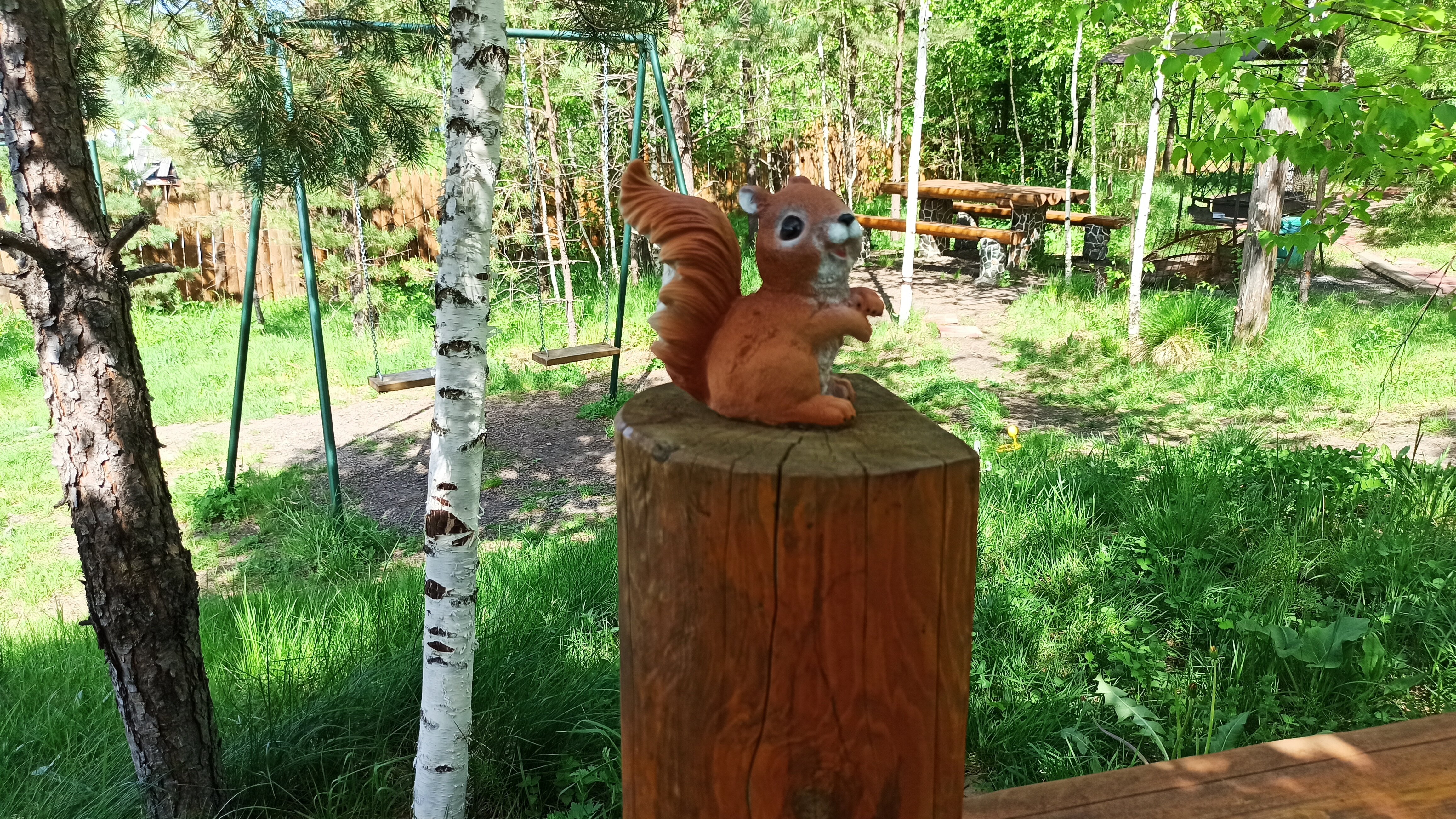 Фото Дыхание Природы