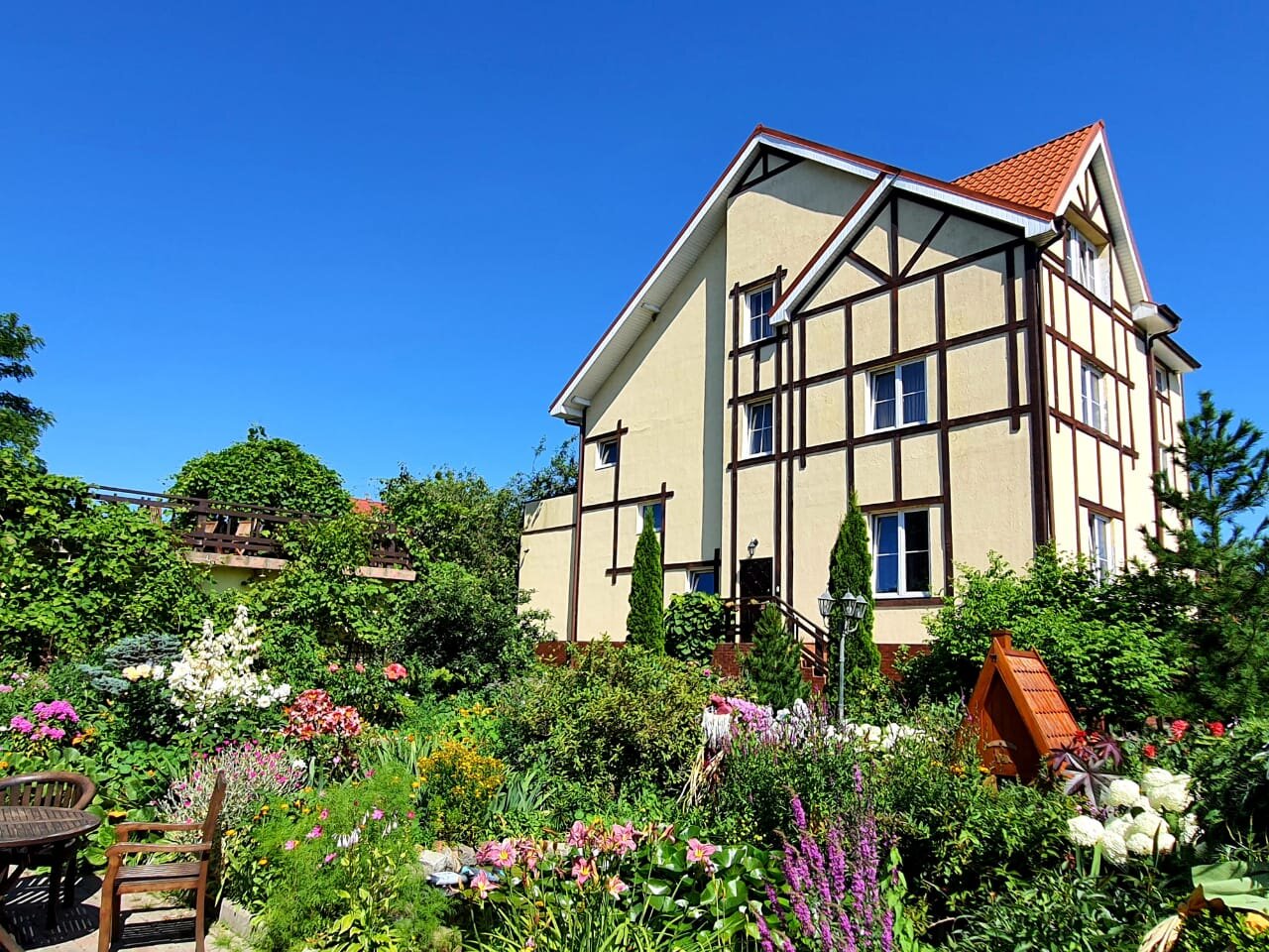 Фото Золотая Орхидея