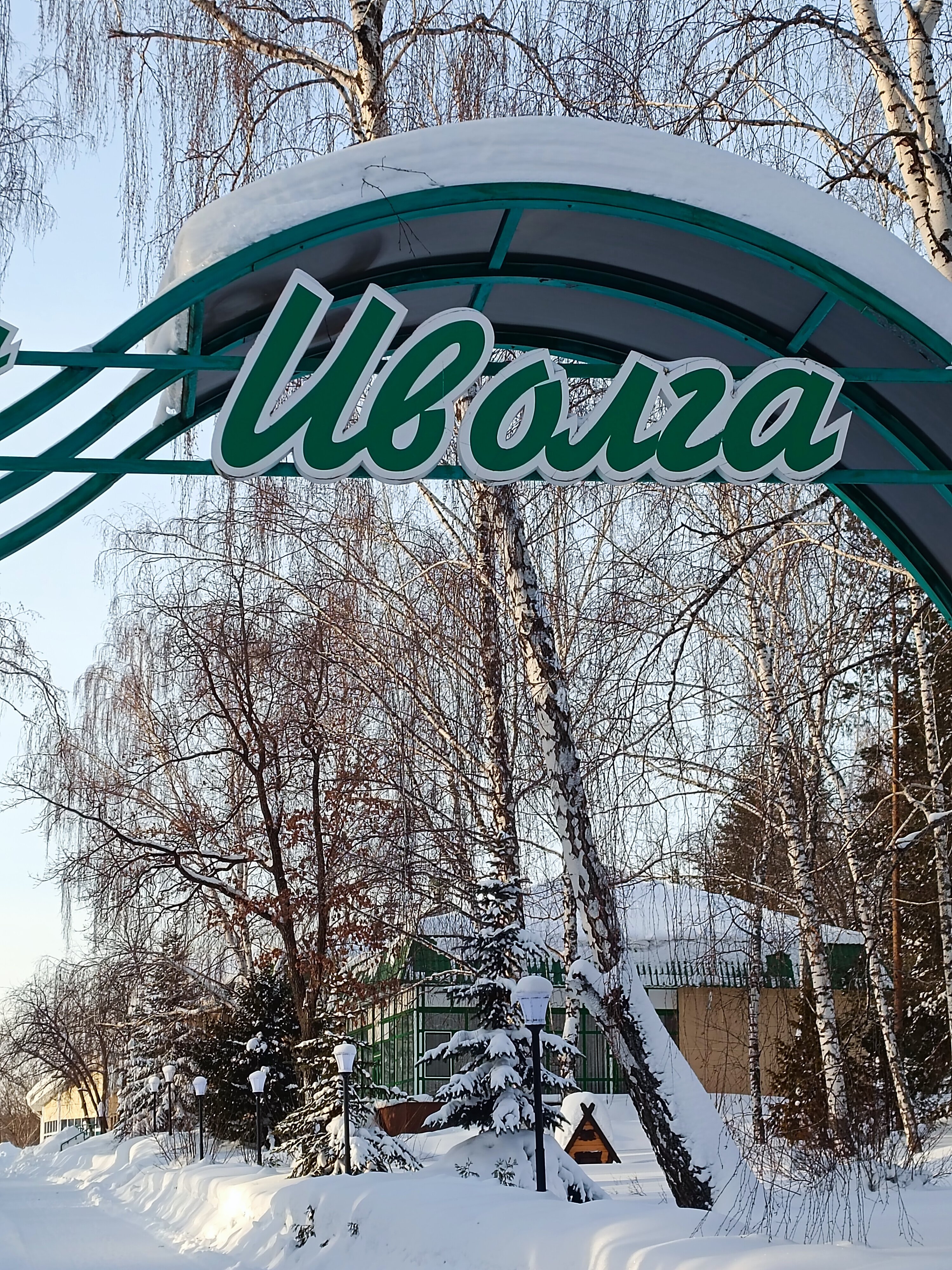 Фото Иволга