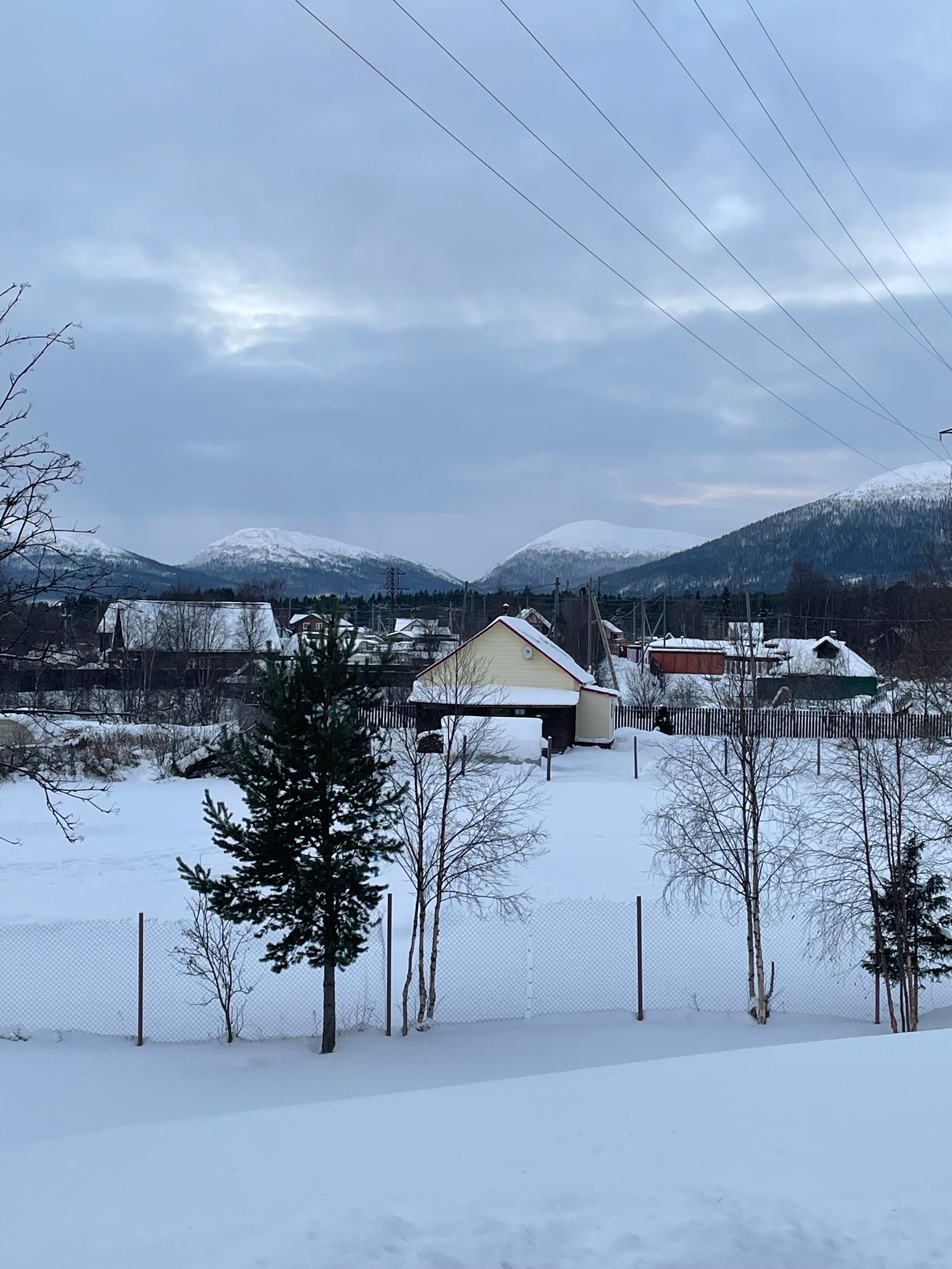 Фото 4 Ягоды