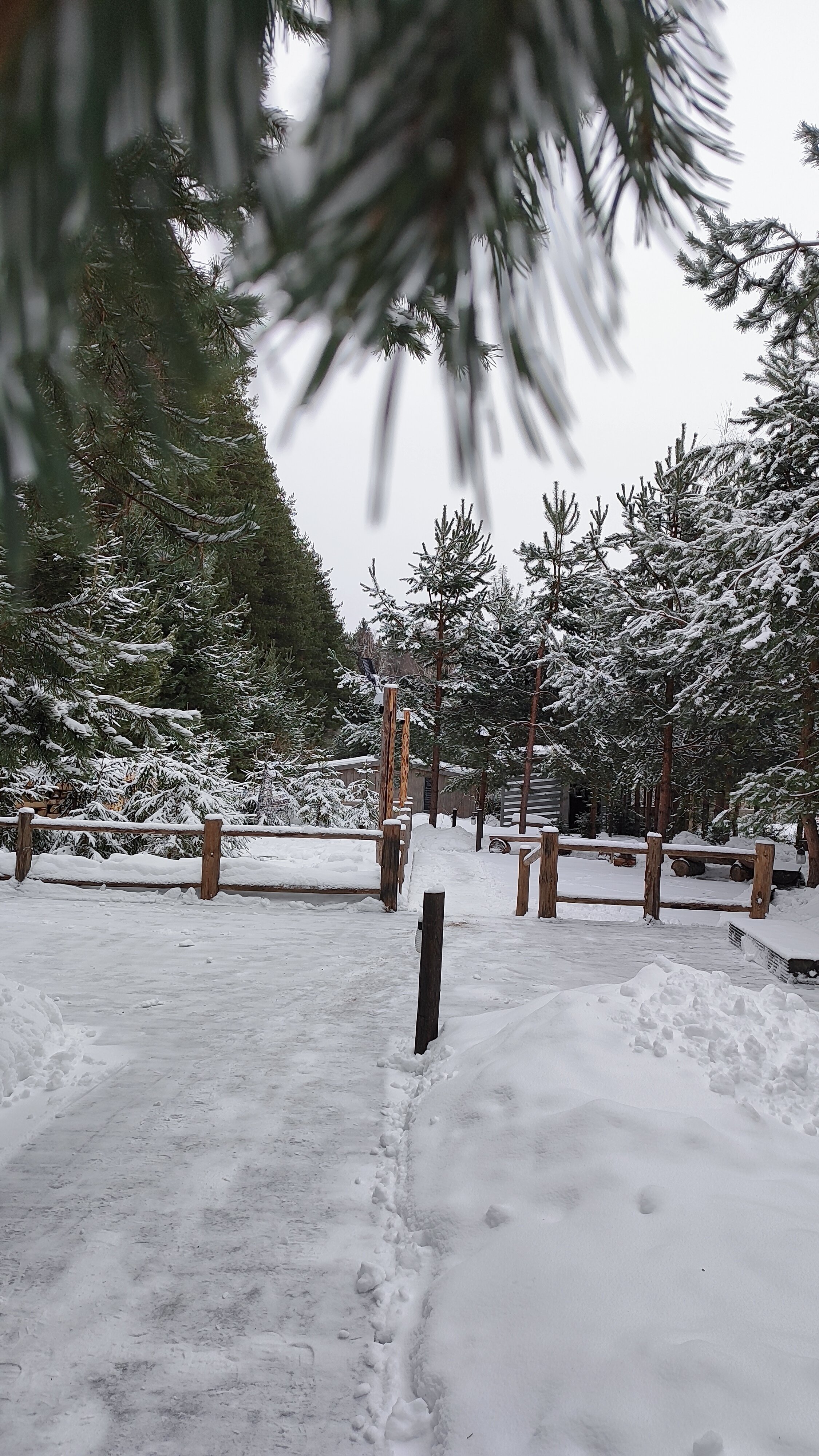 Фото Домики Иволги