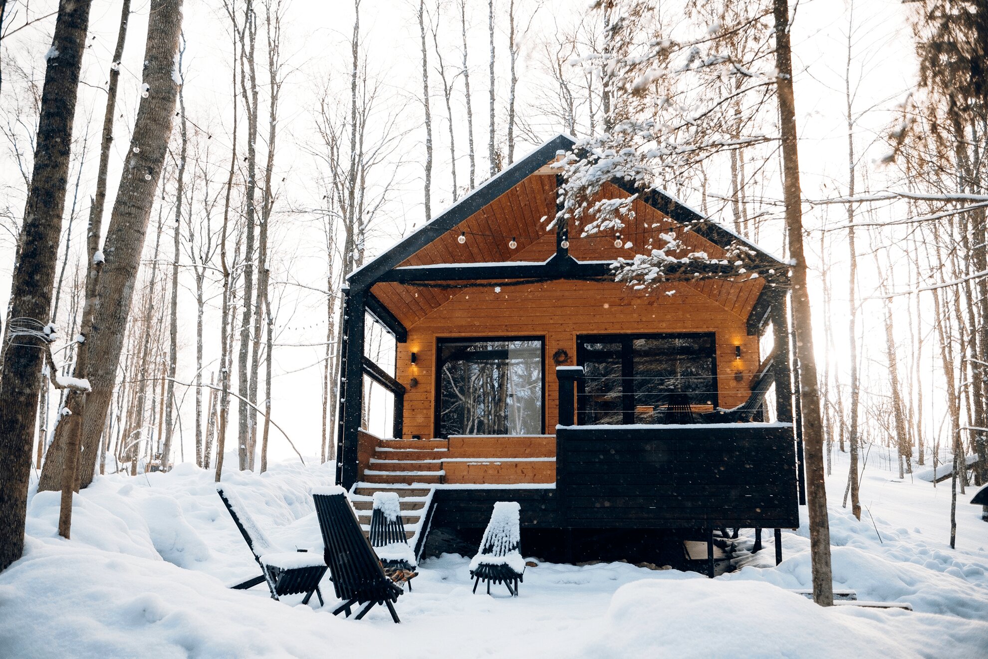 Фото Лес и Гора