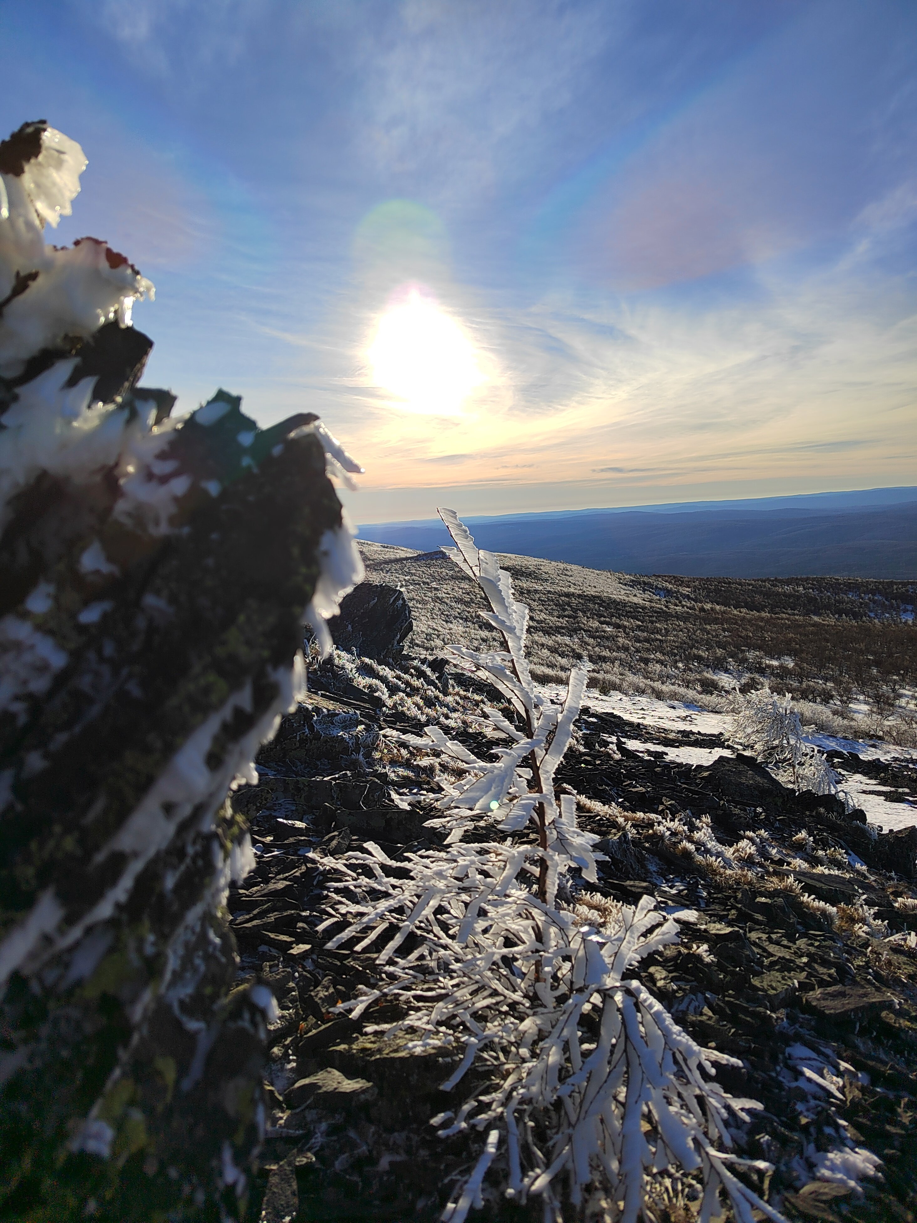 Фото Пилигрим