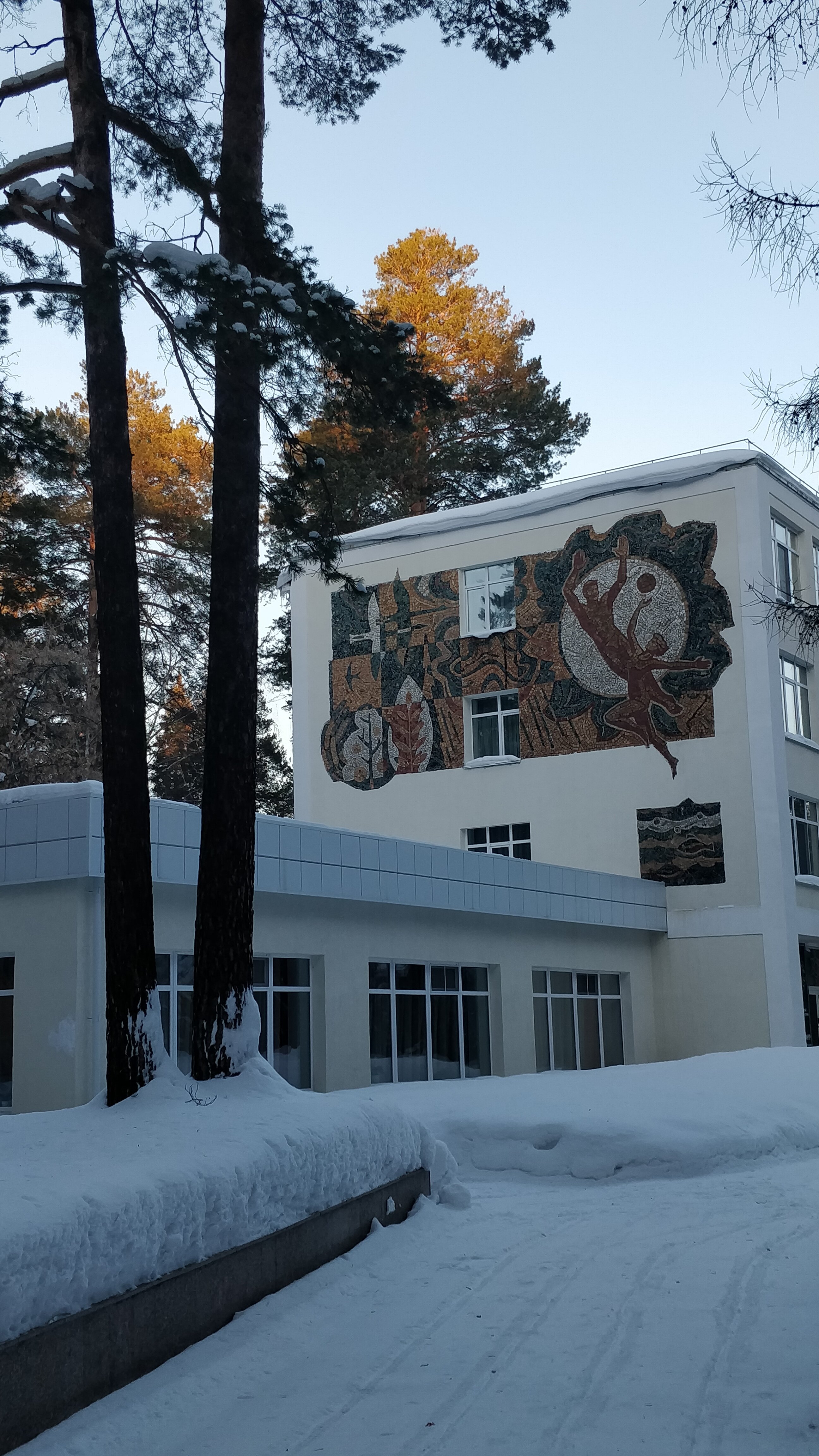 Фото Лесная сказка