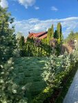 Domgazon (Ilyinskoye Highway, 1), landscape design