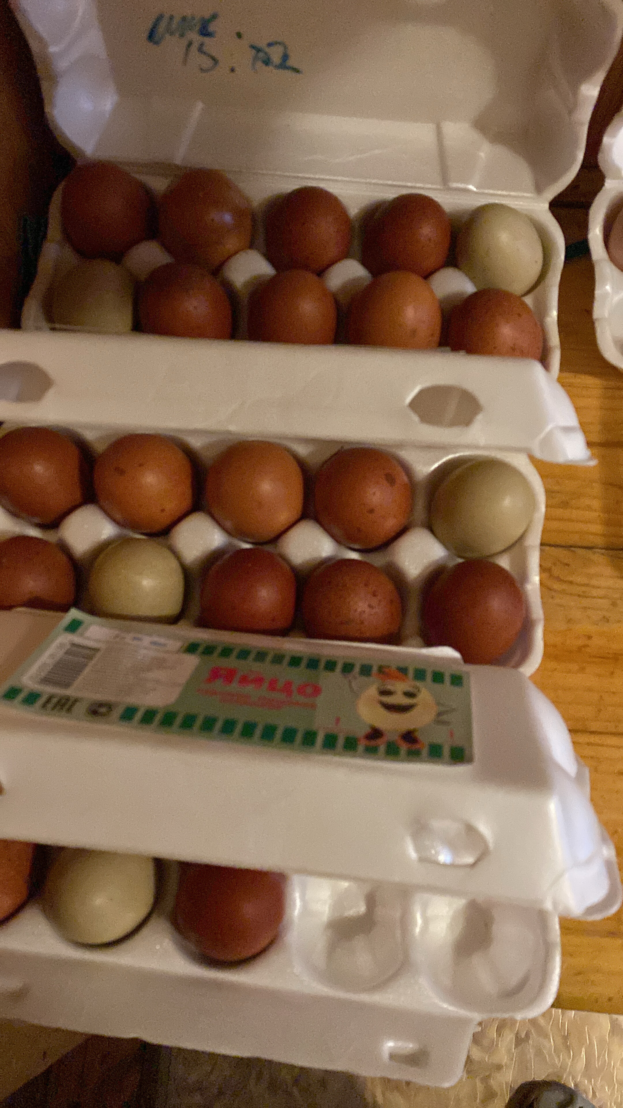 Фото Гнездо аиста