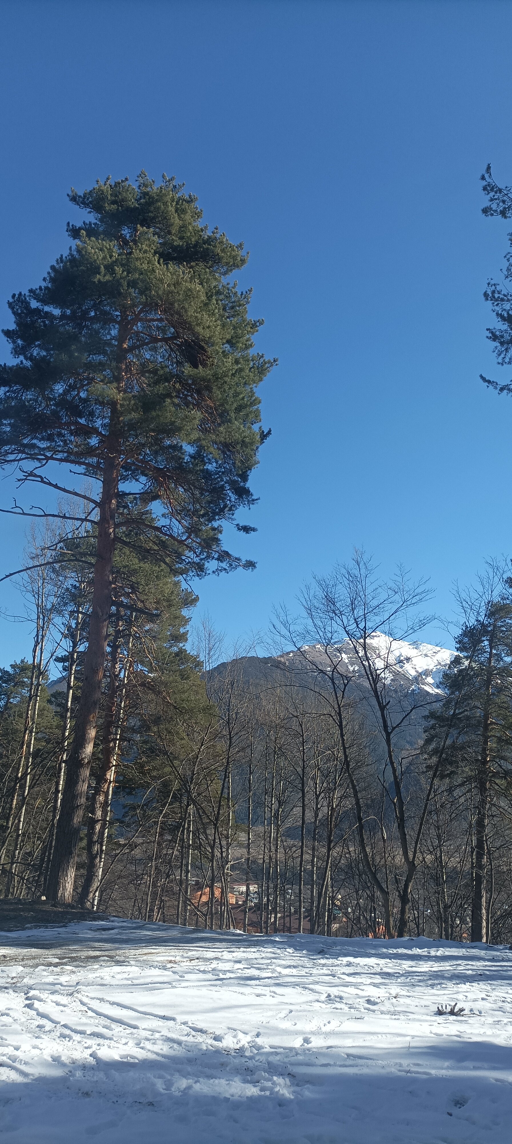 Фото Эко-Хаус